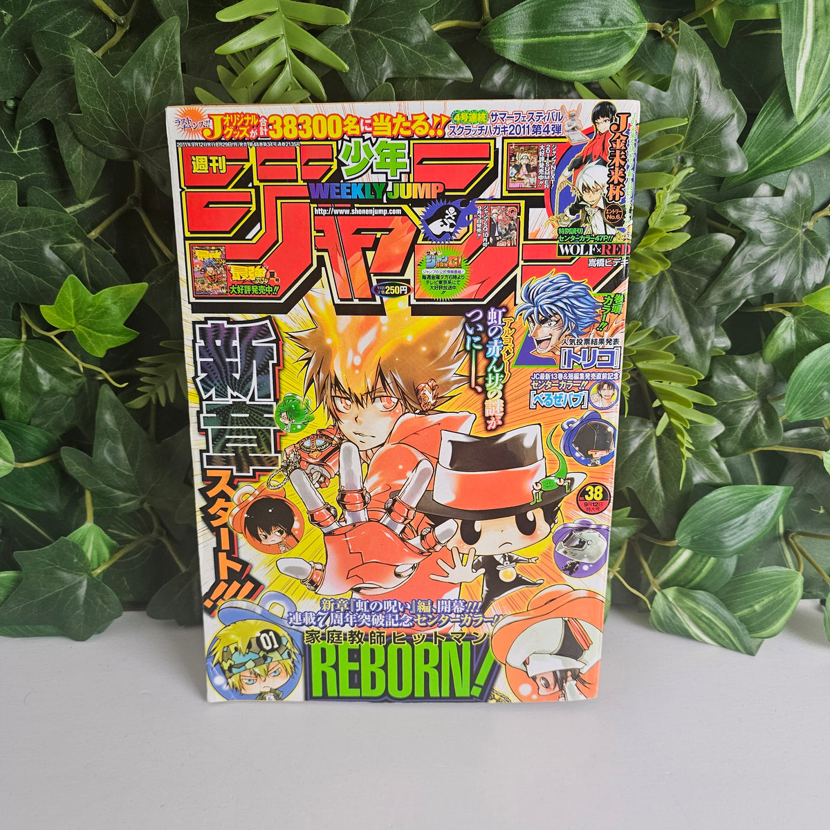 Weekly Shonen Jump n°38 (2011) (Reborn)