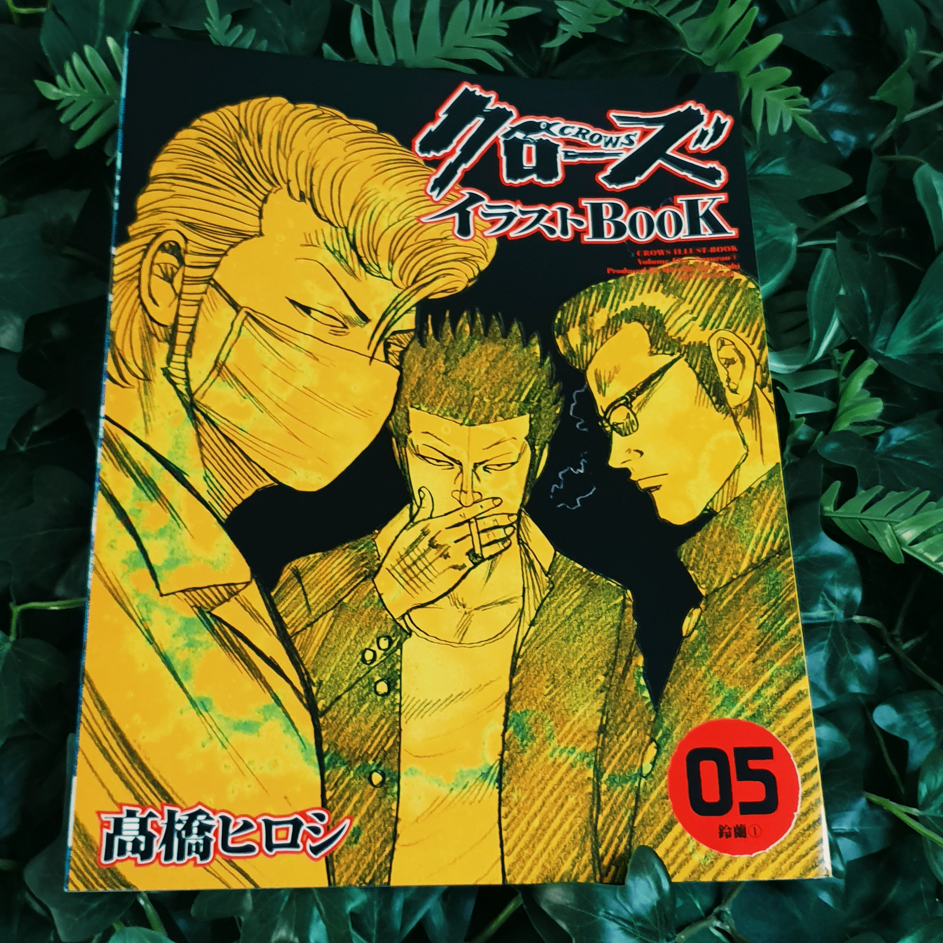 Intégrale Artbooks Crows 1 à 10