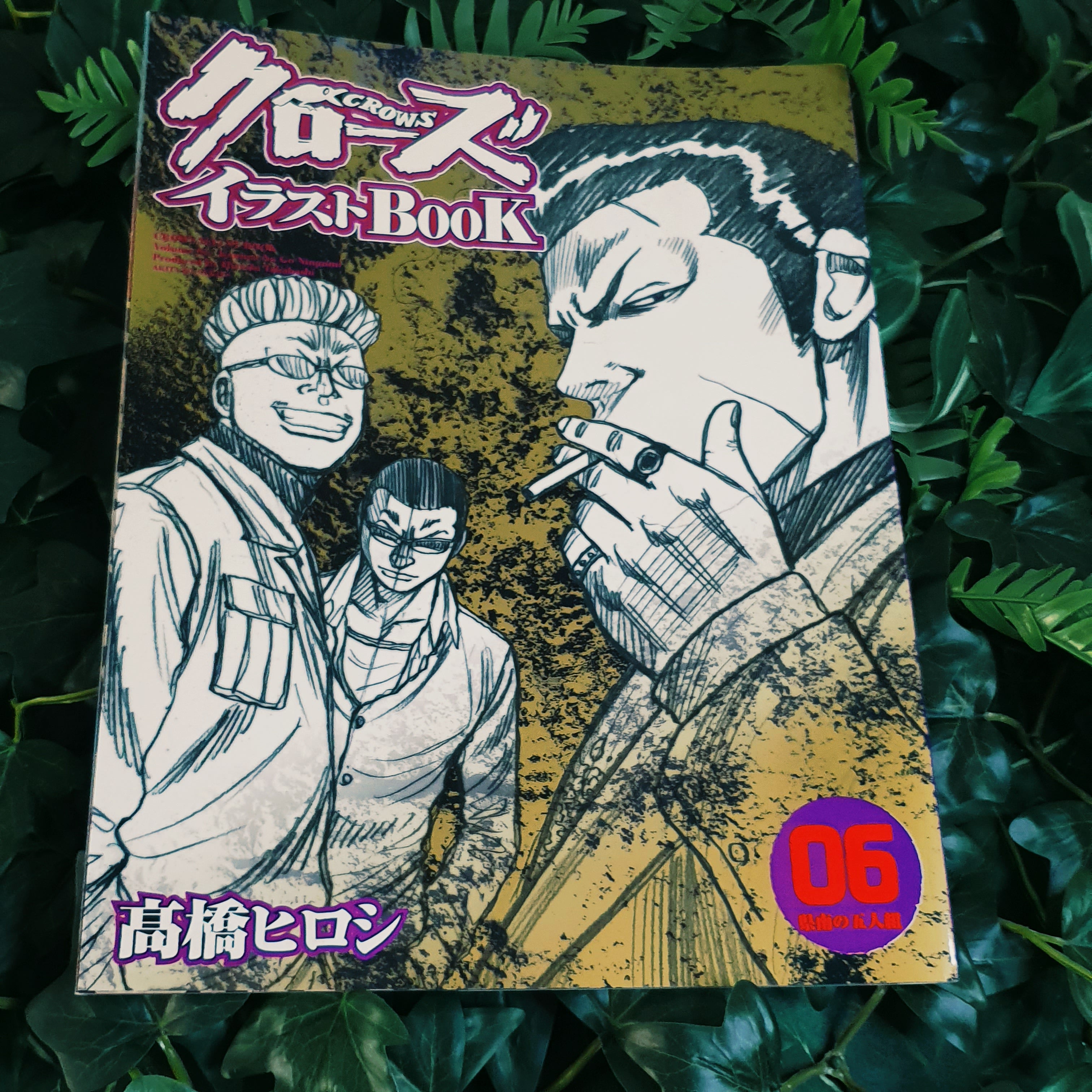 Intégrale Artbooks Crows 1 à 10