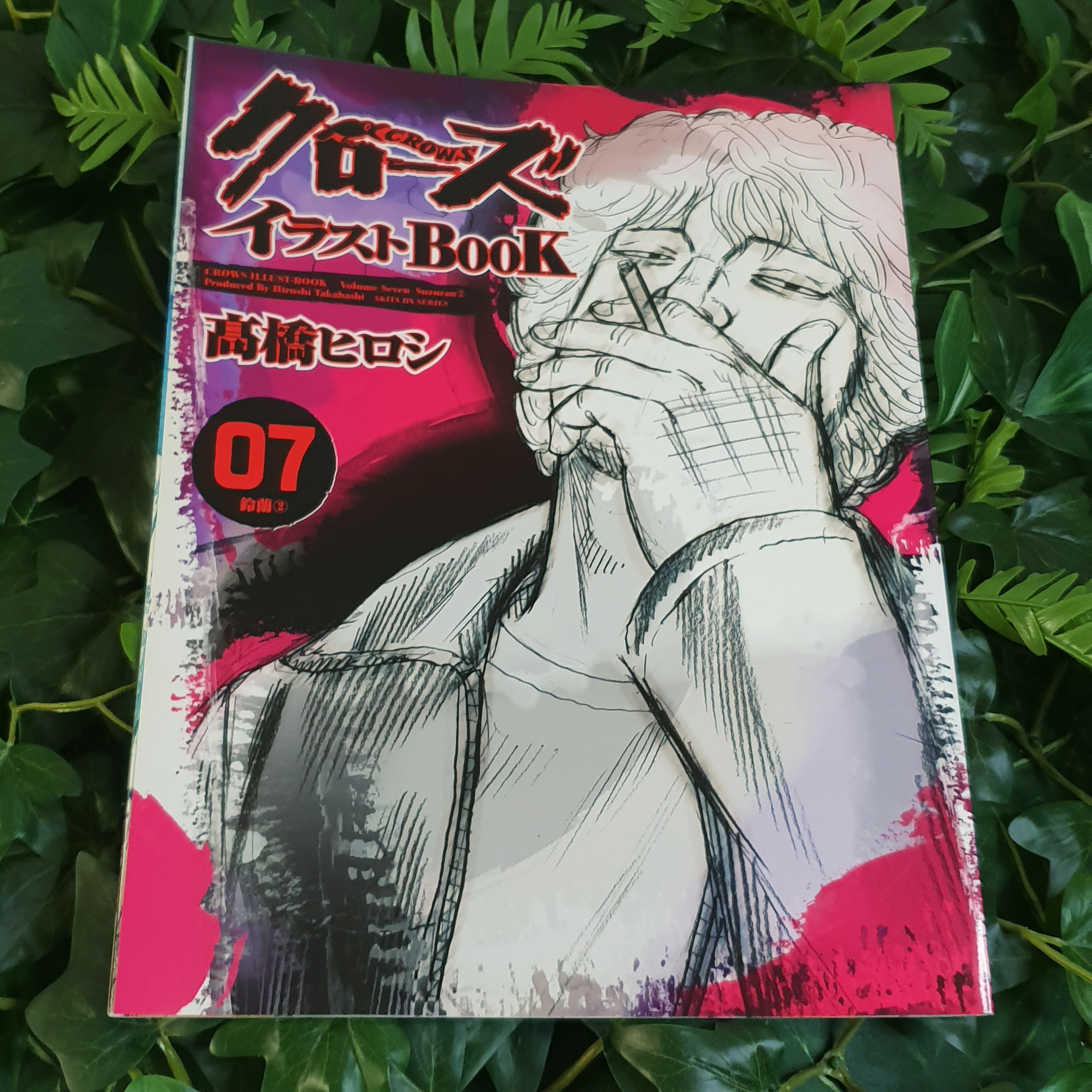 Intégrale Artbooks Crows 1 à 10