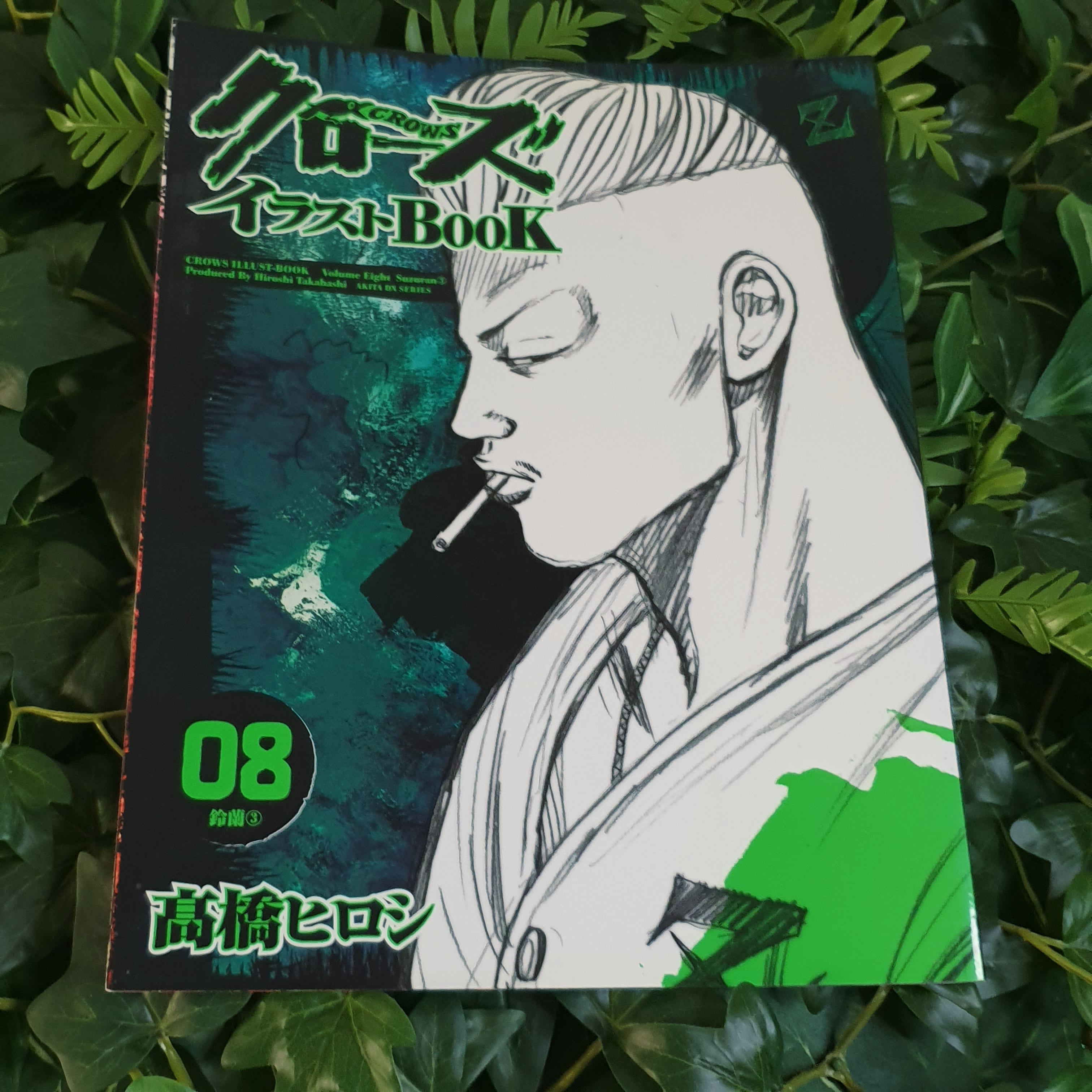 Intégrale Artbooks Crows 1 à 10