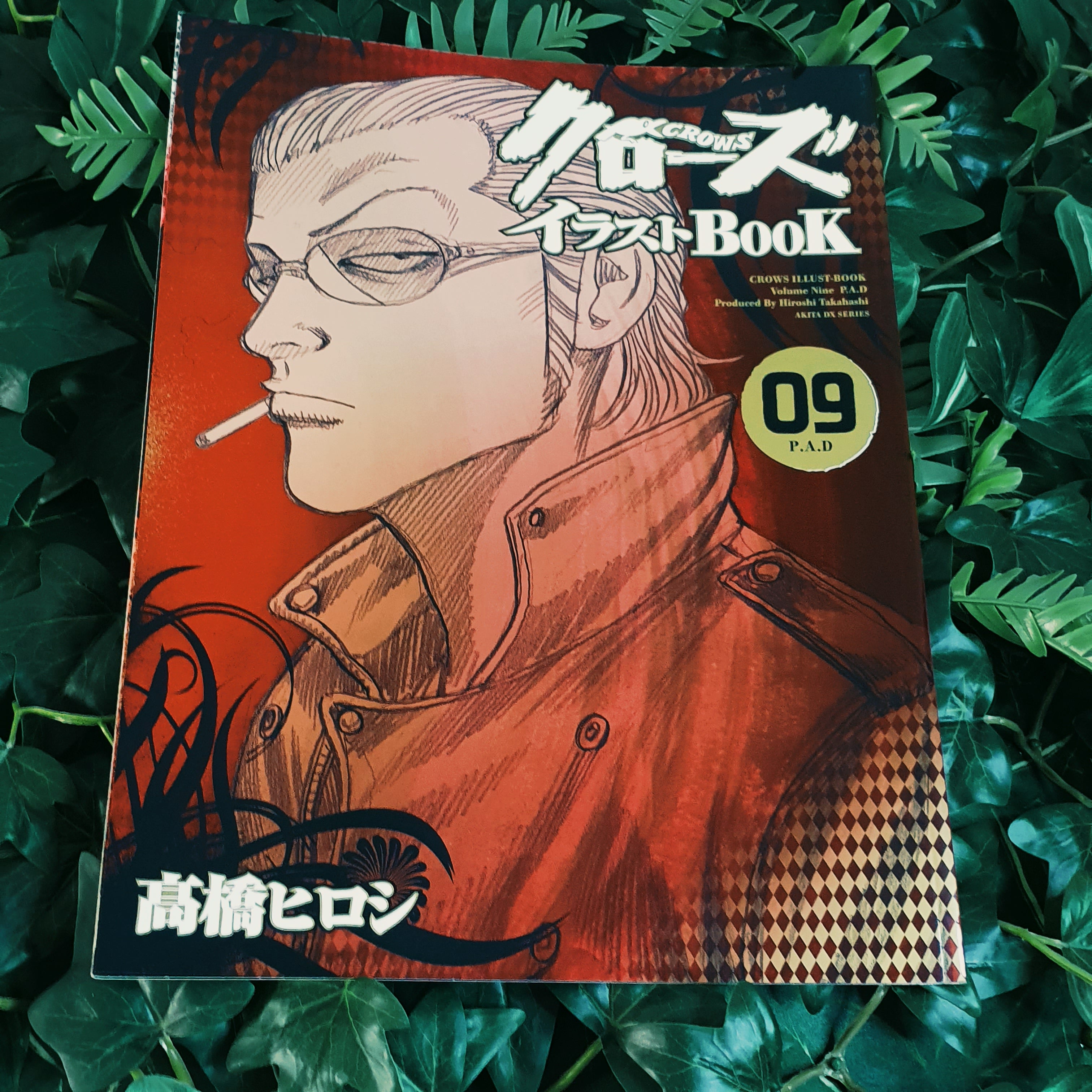 Intégrale Artbooks Crows 1 à 10