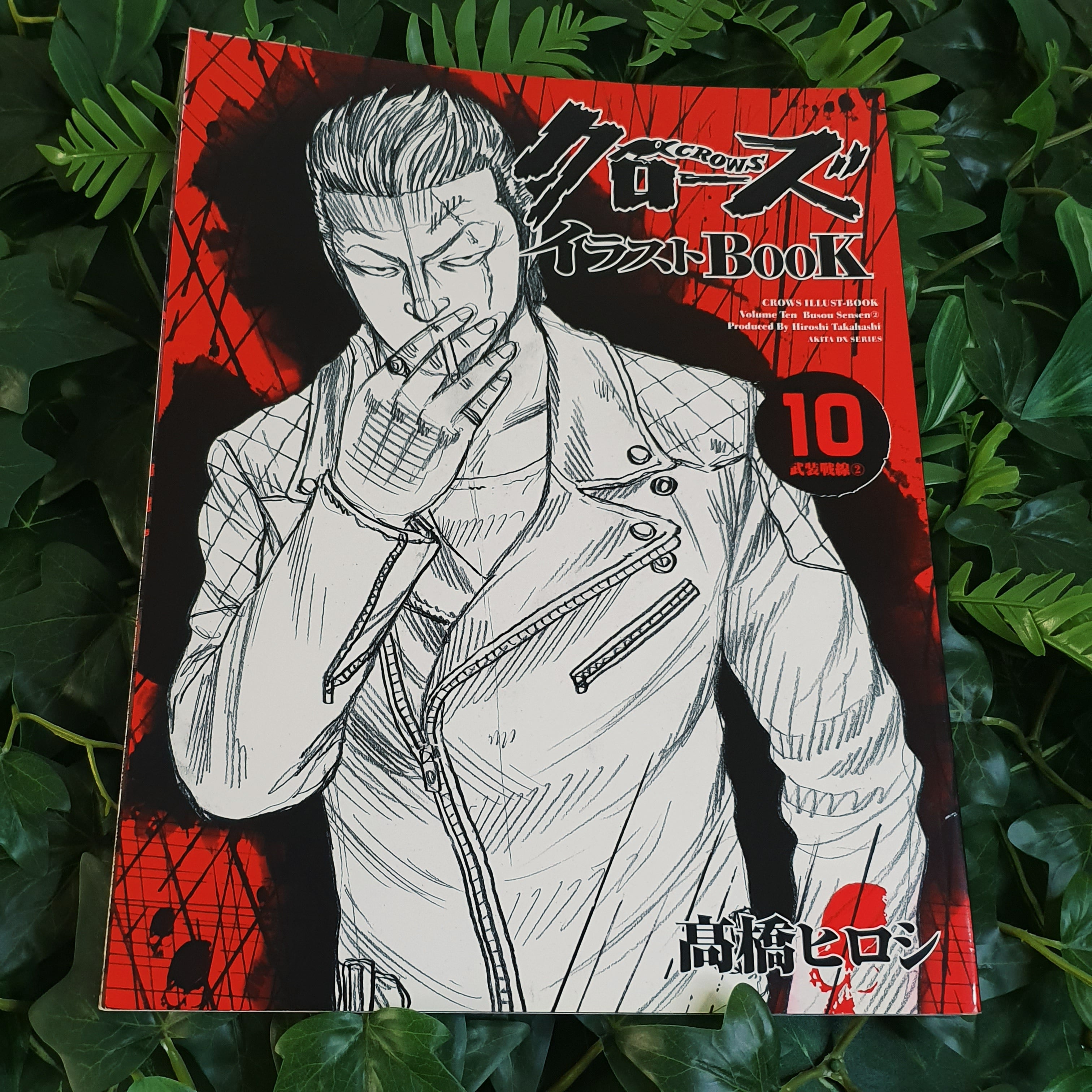 Intégrale Artbooks Crows 1 à 10