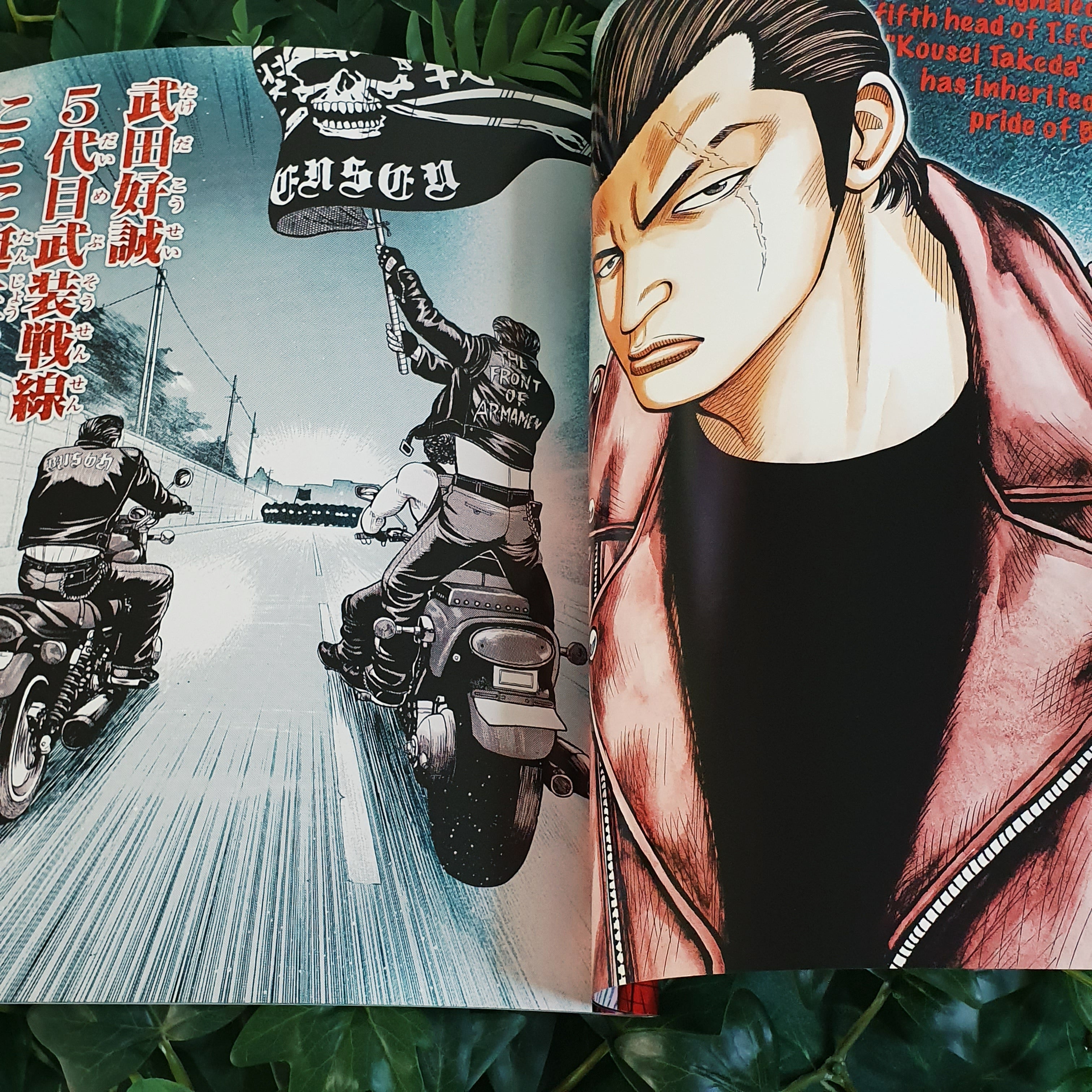Intégrale Artbooks Crows 1 à 10