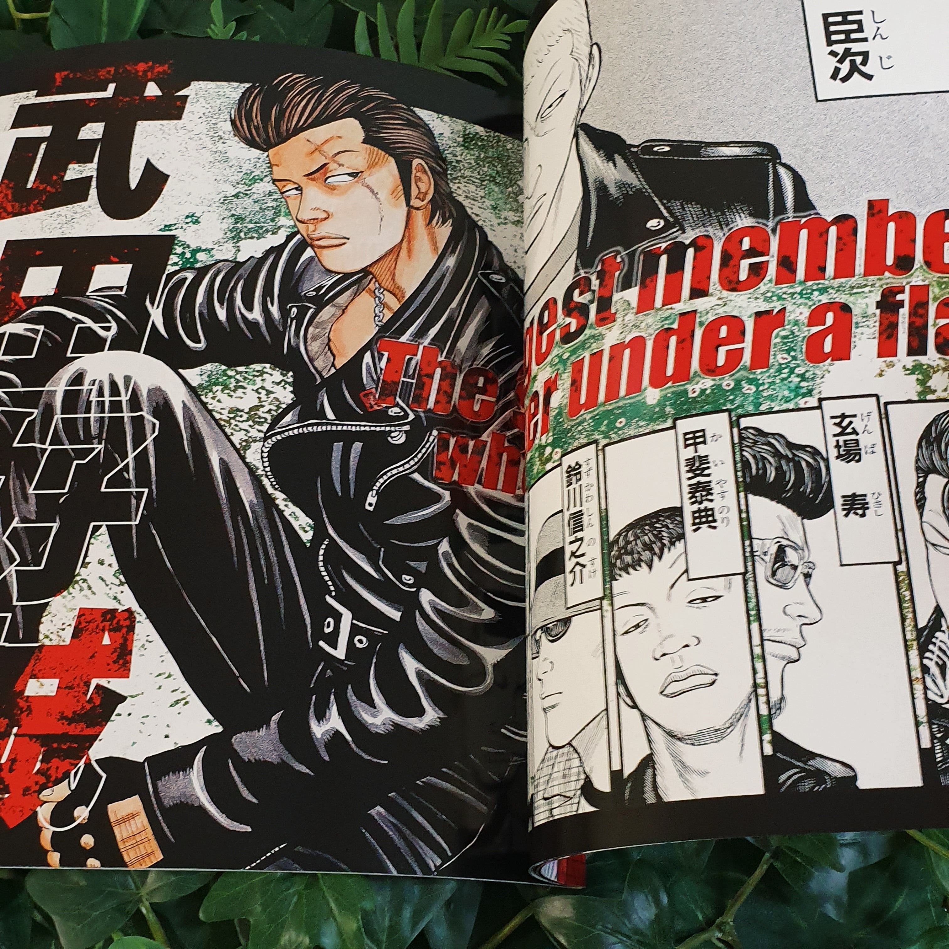 Intégrale Artbooks Crows 1 à 10