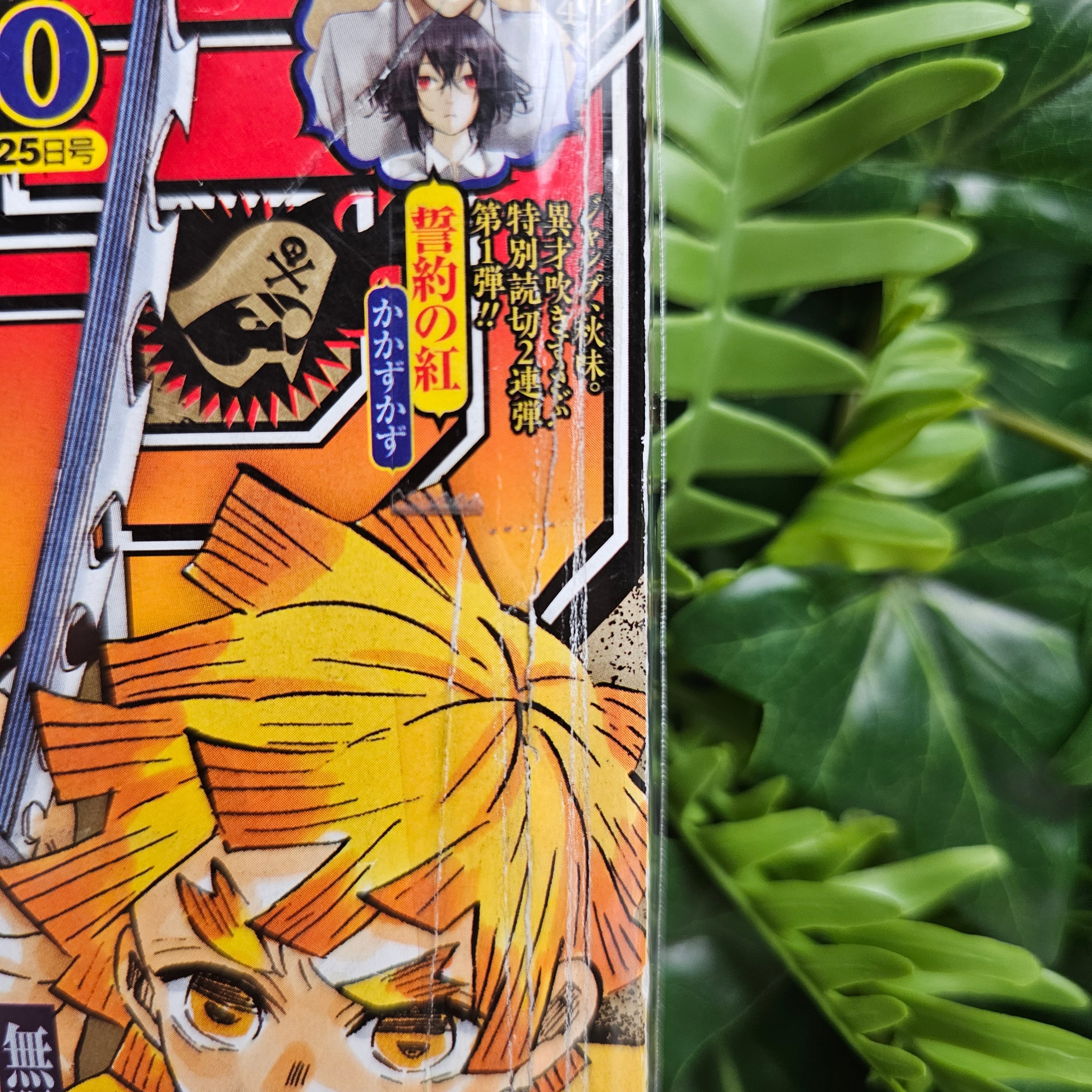Weekly Shonen Jump n°50 (2019)