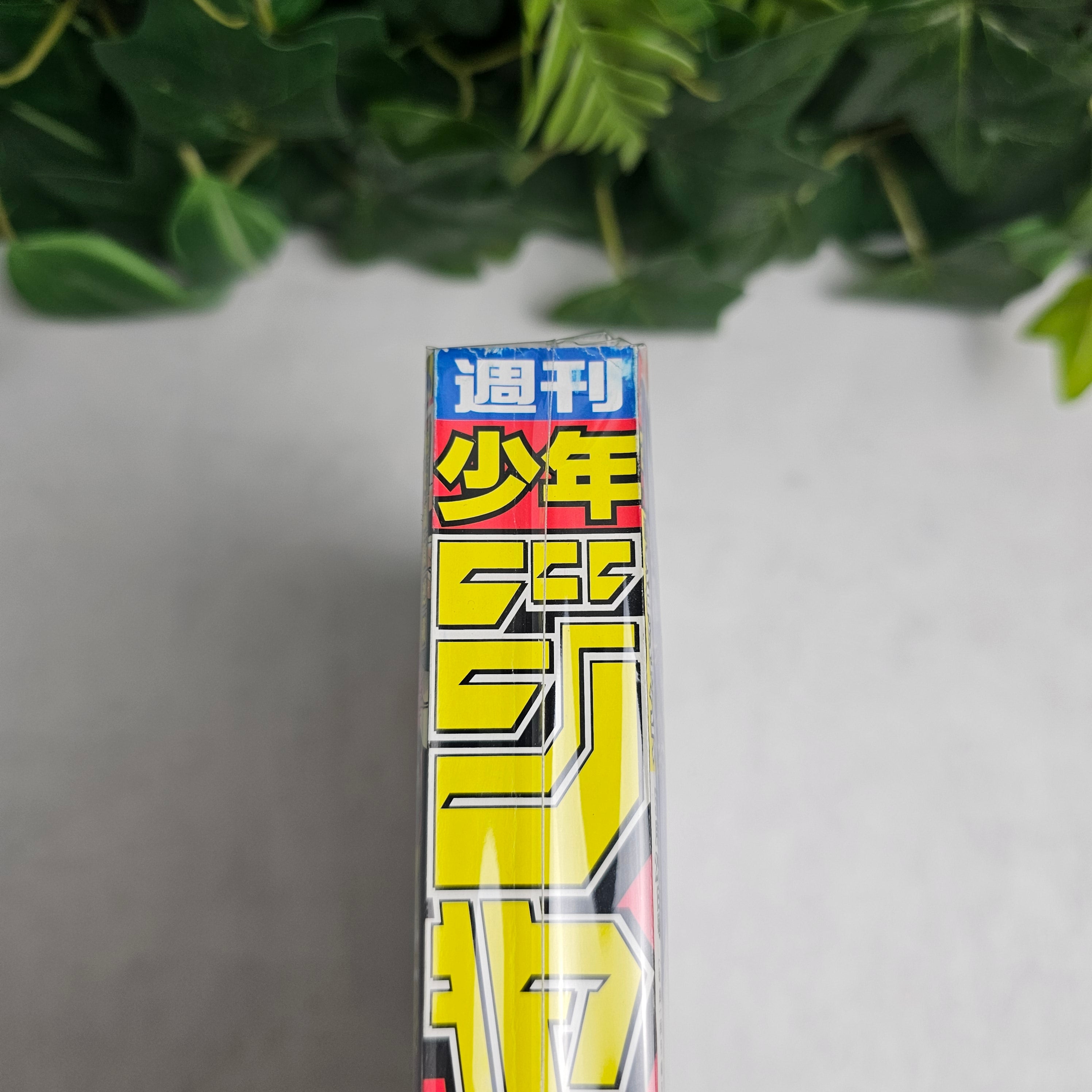 Weekly Shonen Jump n°24 (2006)