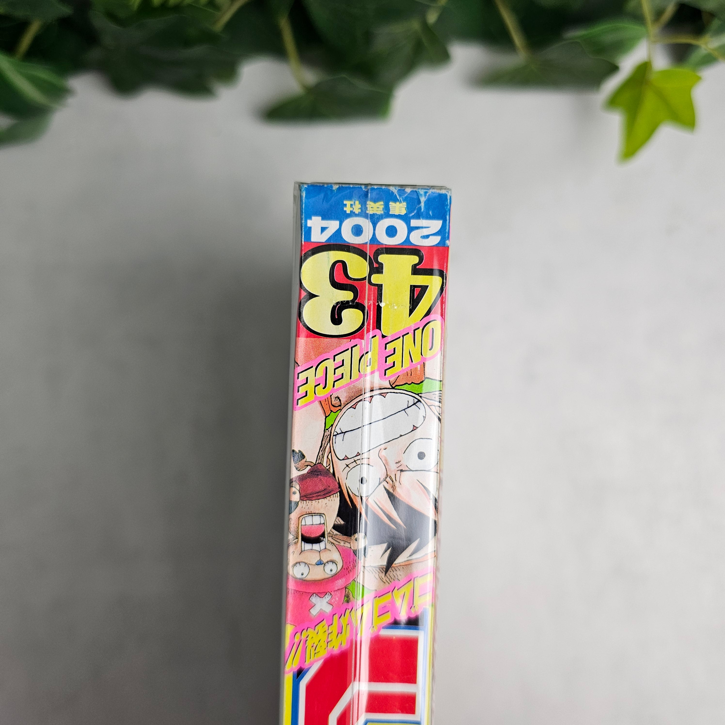 Weekly Shonen Jump n°43 (2004)