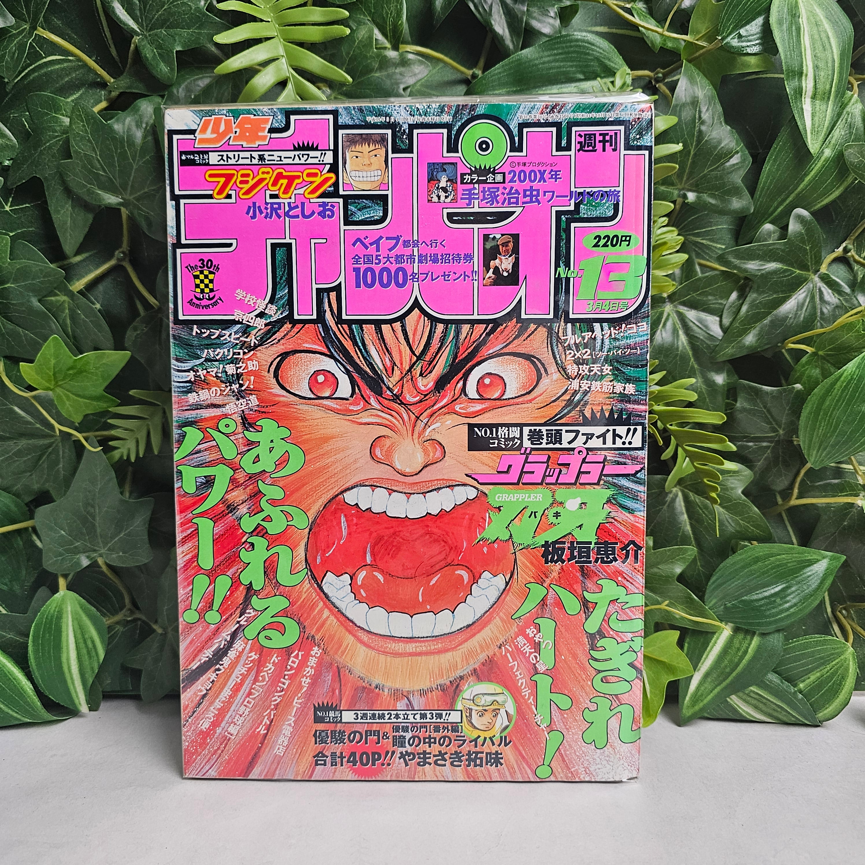 Weekly Shonen Champion n°13 (1999)
