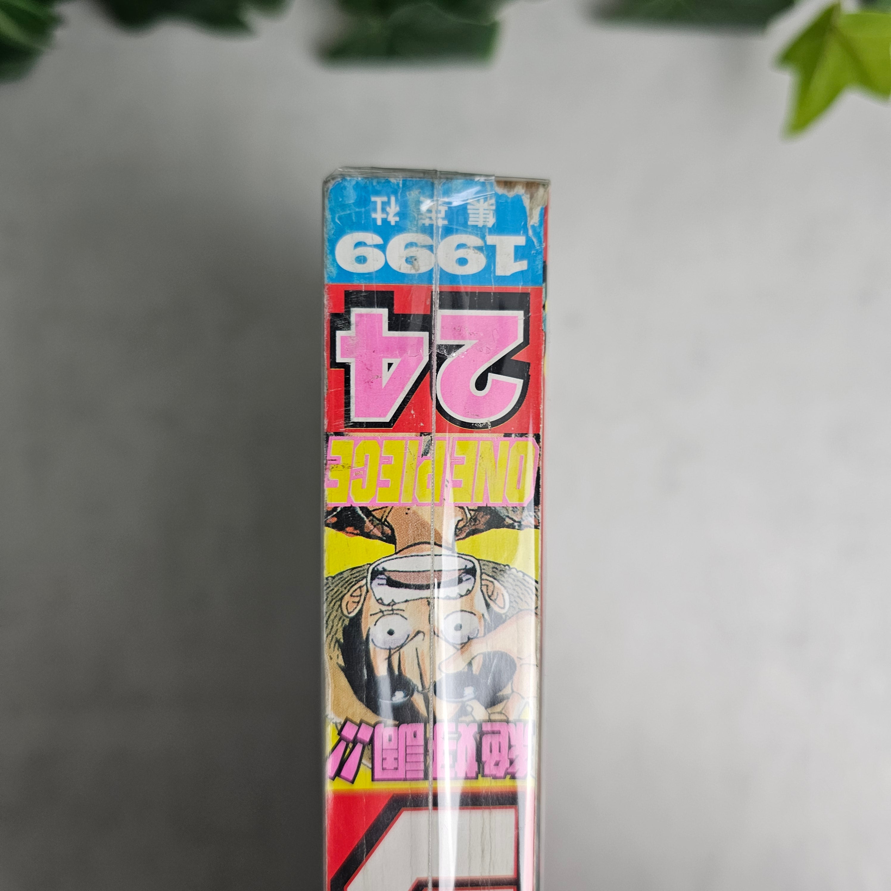 Weekly Shonen Jump n°24 (1999)