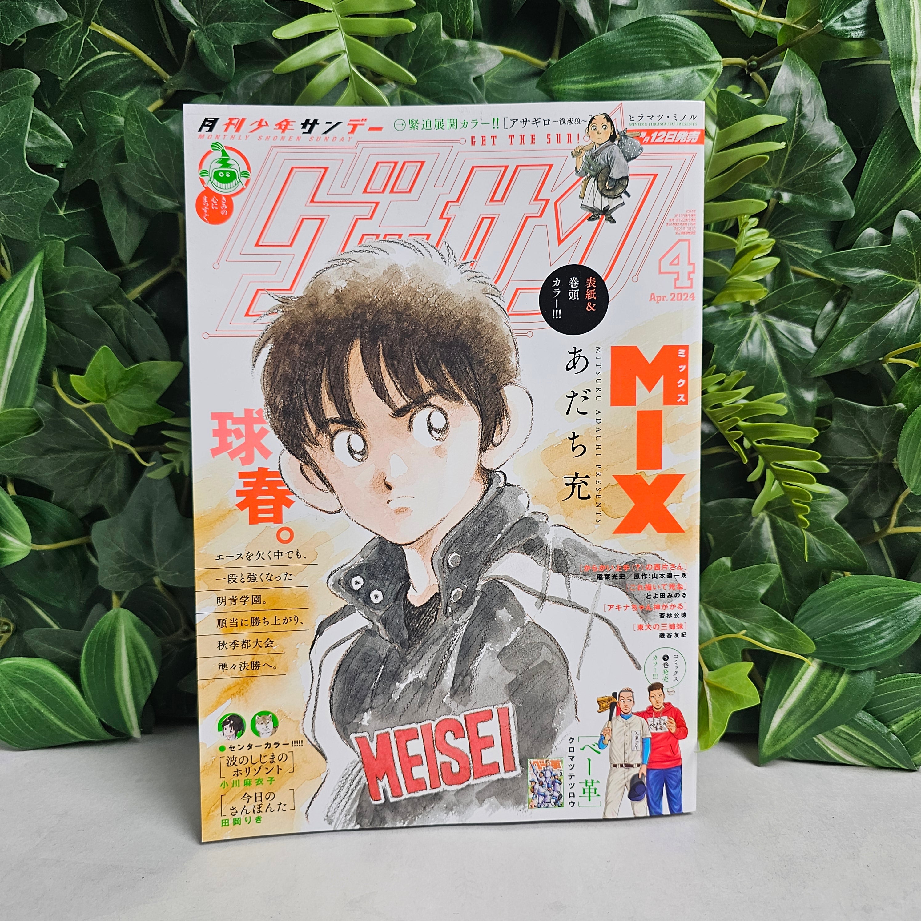 Gessan n°4 (2024)
