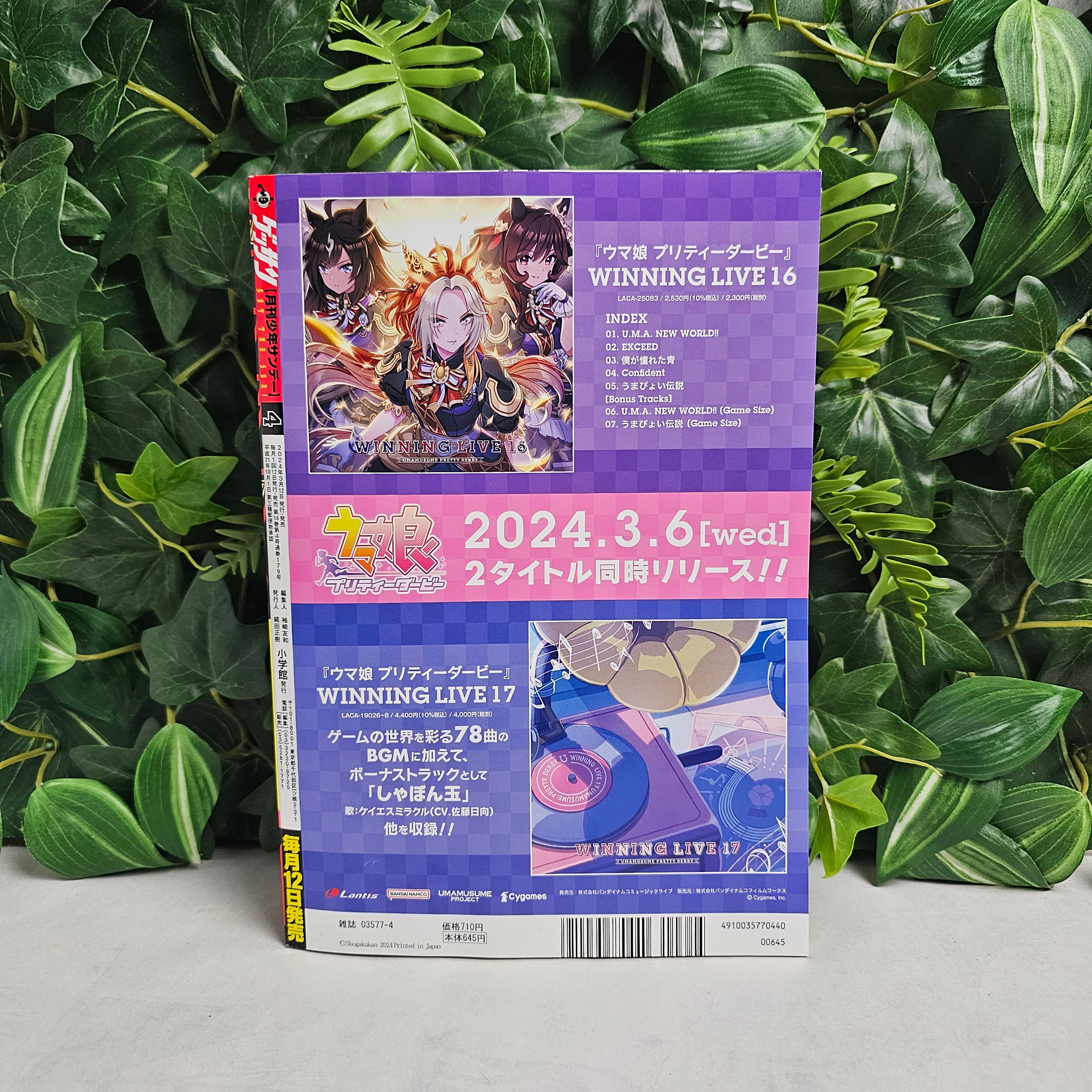 Gessan n°4 (2024)