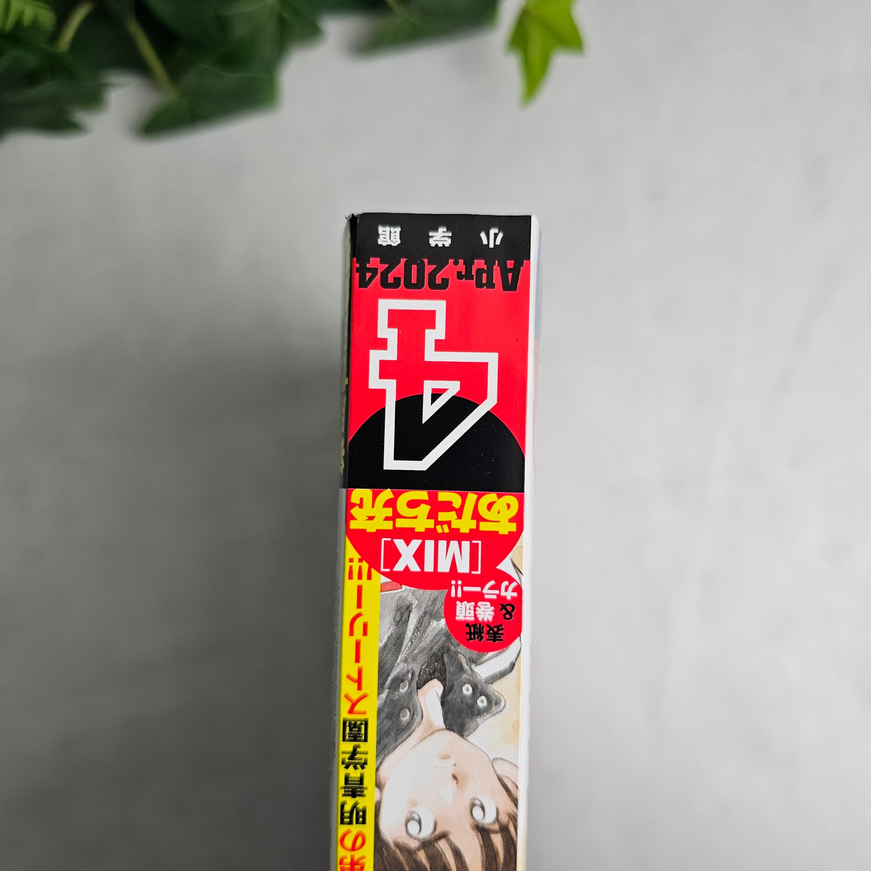 Gessan n°4 (2024)