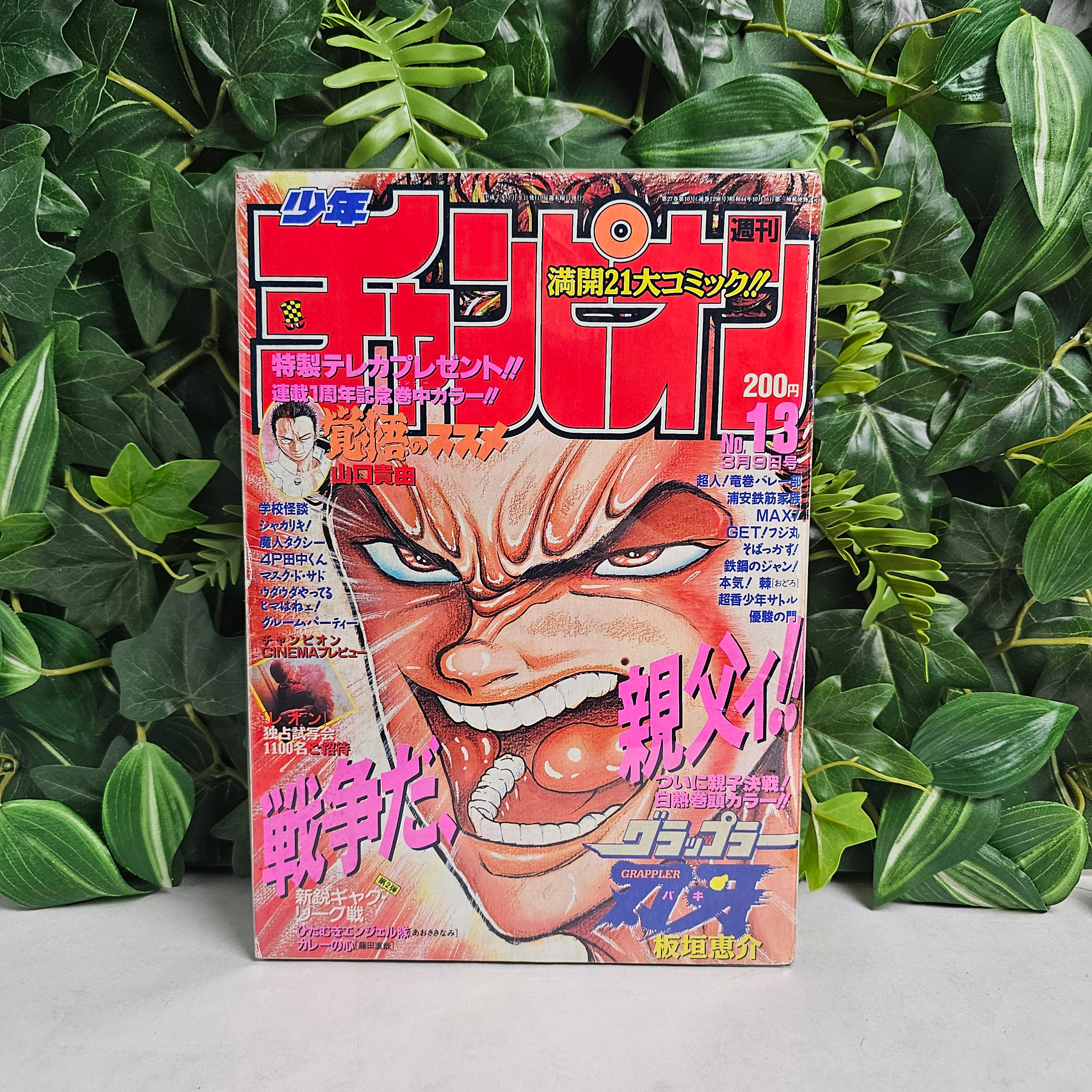 Weekly Shonen Champion n°13 (1995)