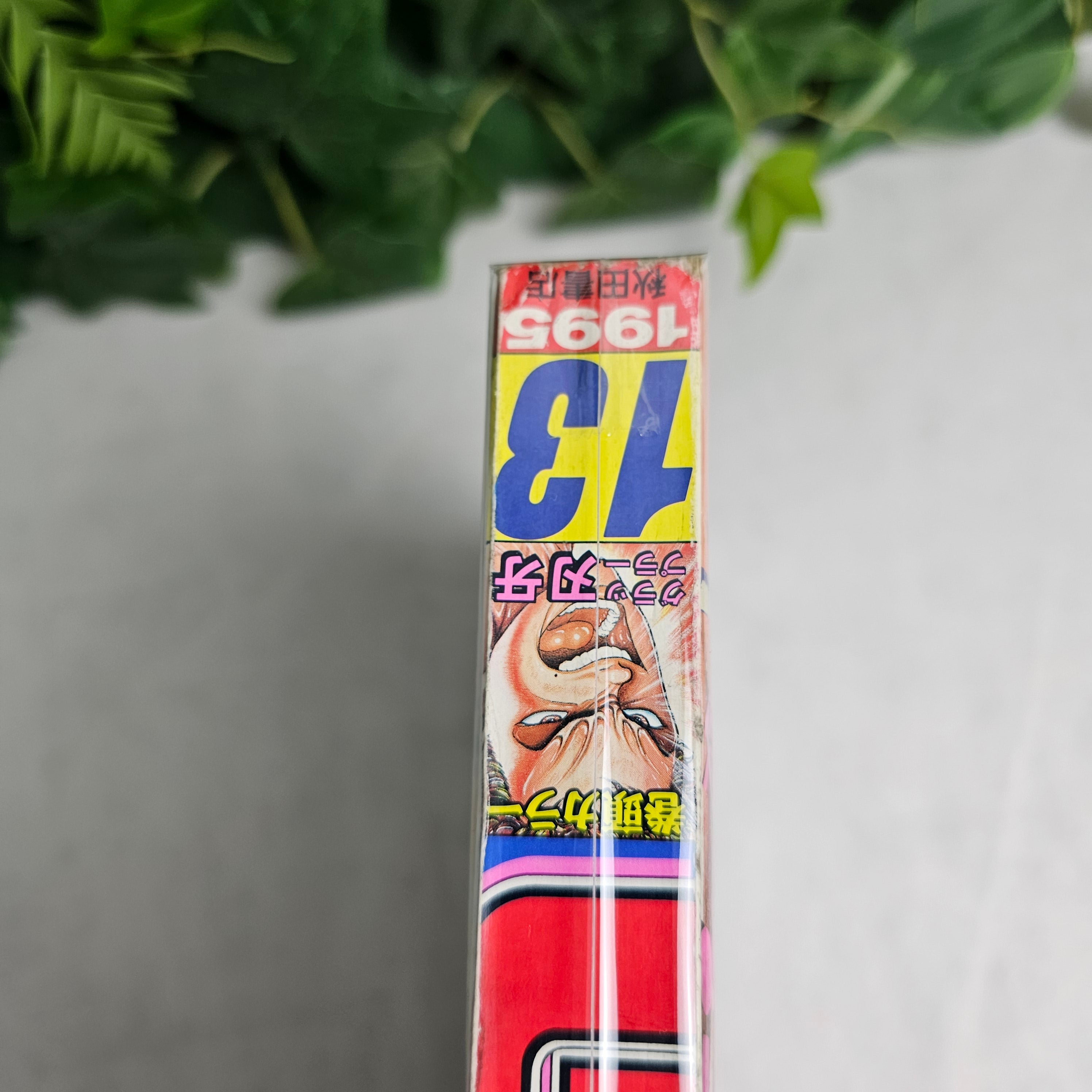 Weekly Shonen Champion n°13 (1995)