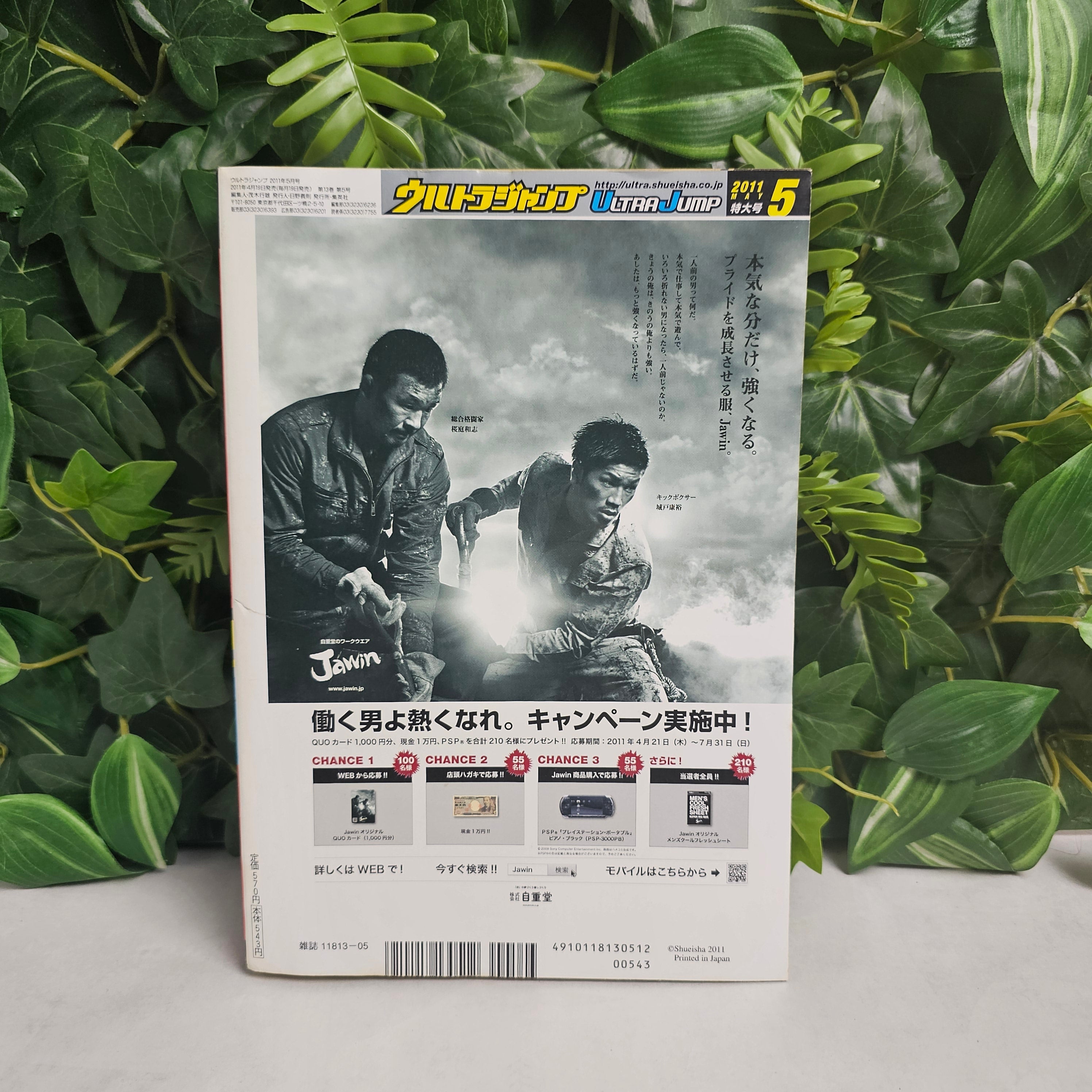 Ultra Jump n°5 (2011)
