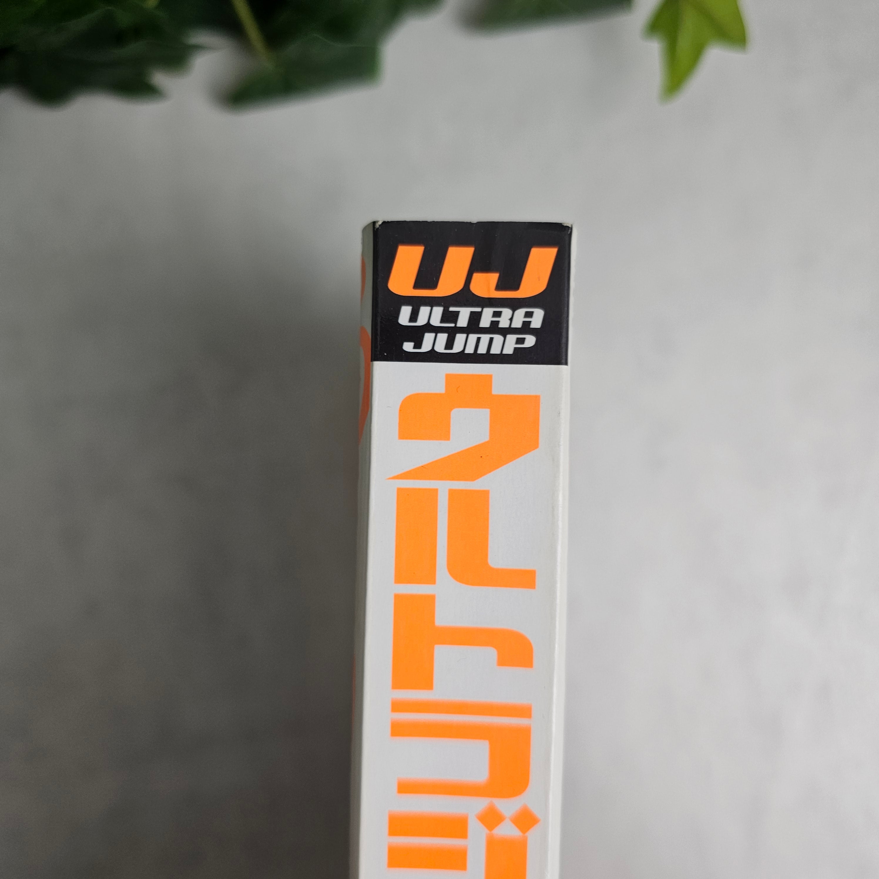 Ultra Jump n°5 (2014)