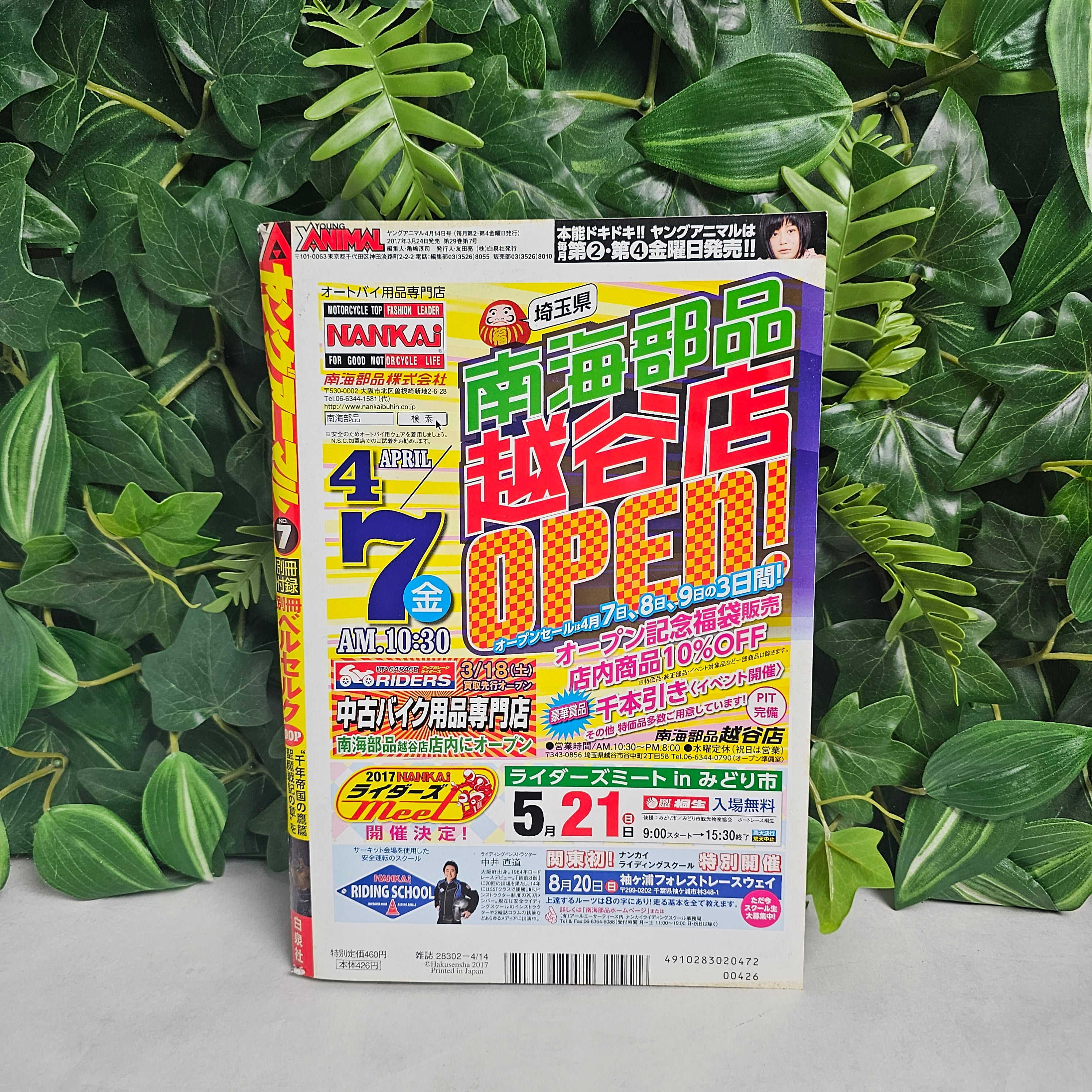 Young Animal n°7 (2017)