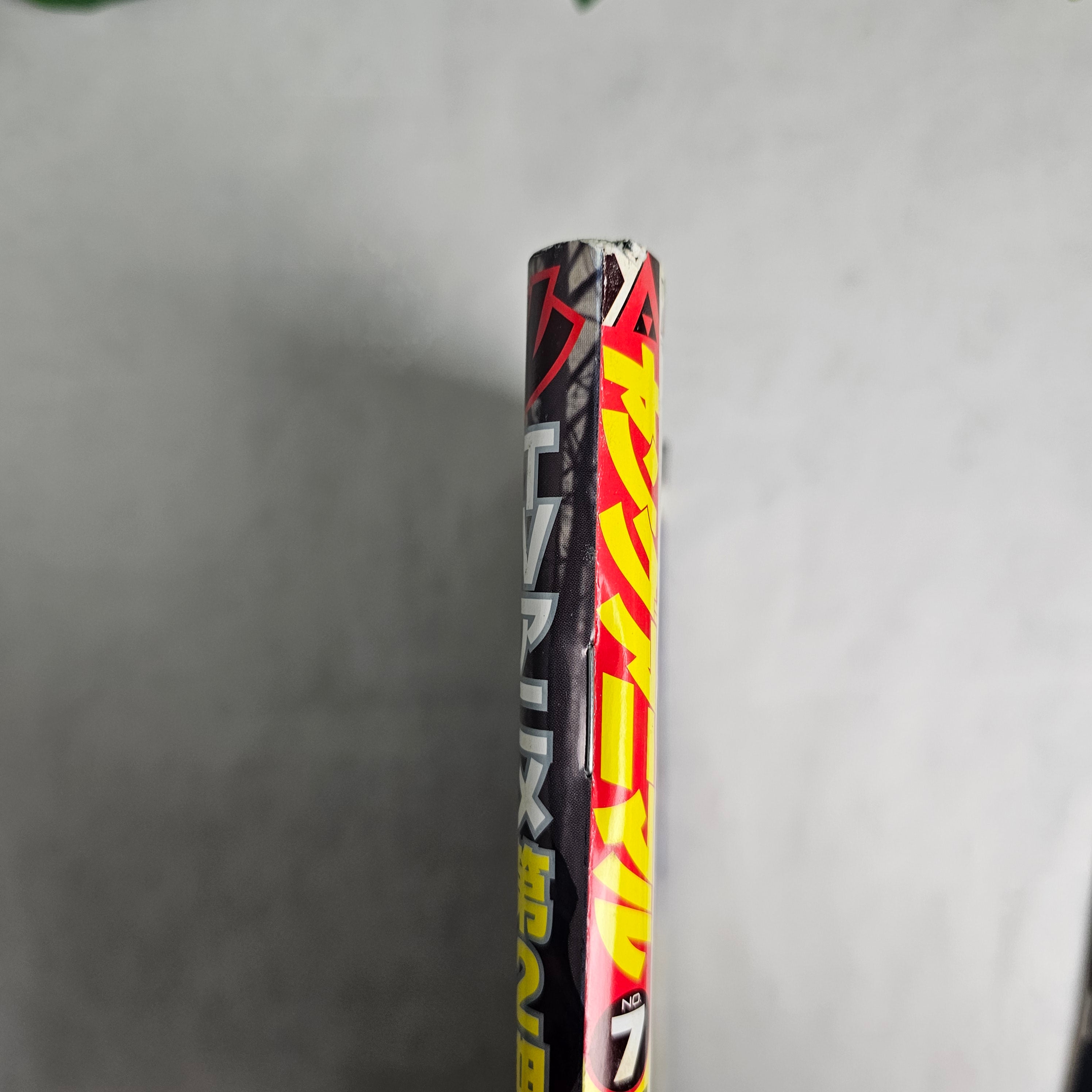 Young Animal n°7 (2017)