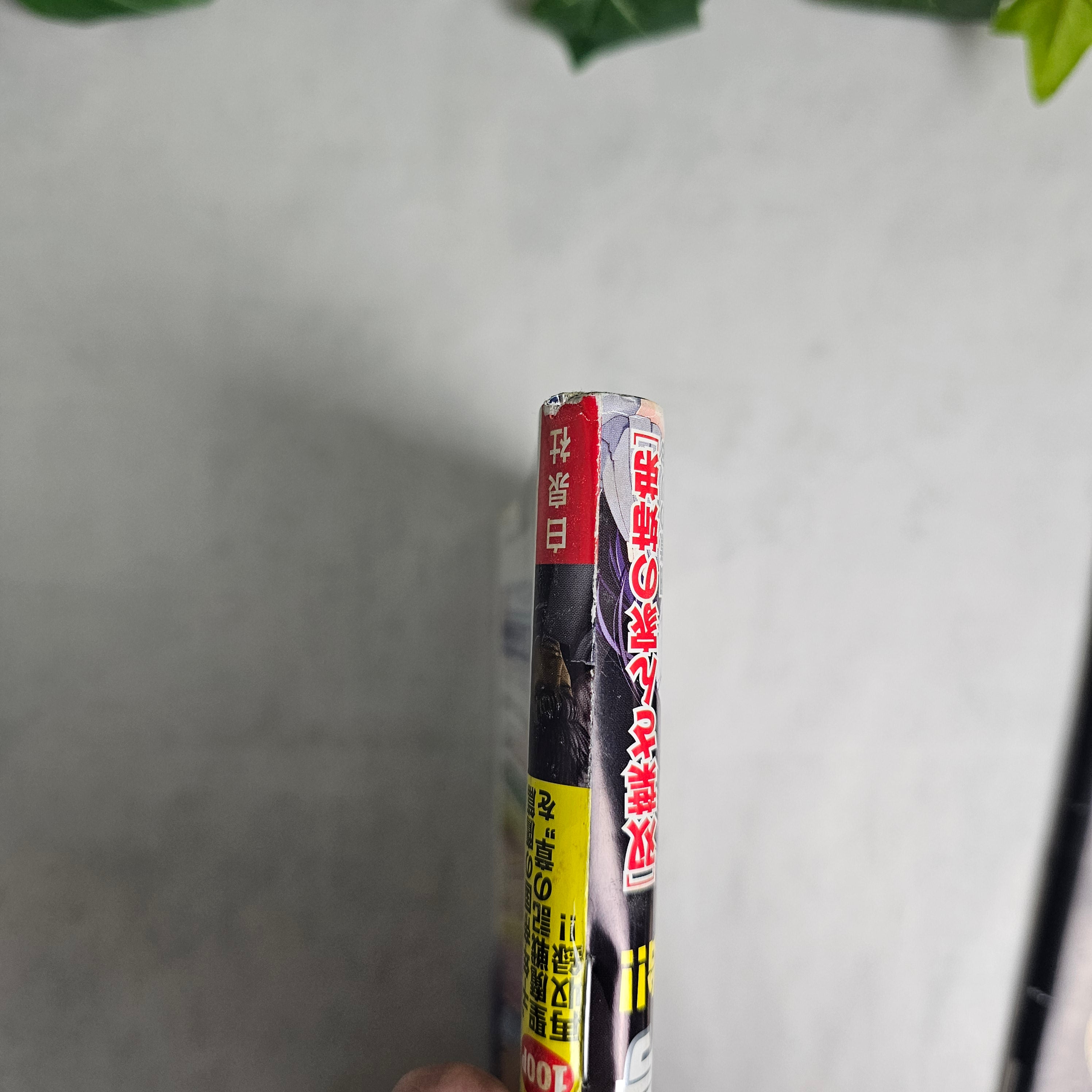 Young Animal n°7 (2017)