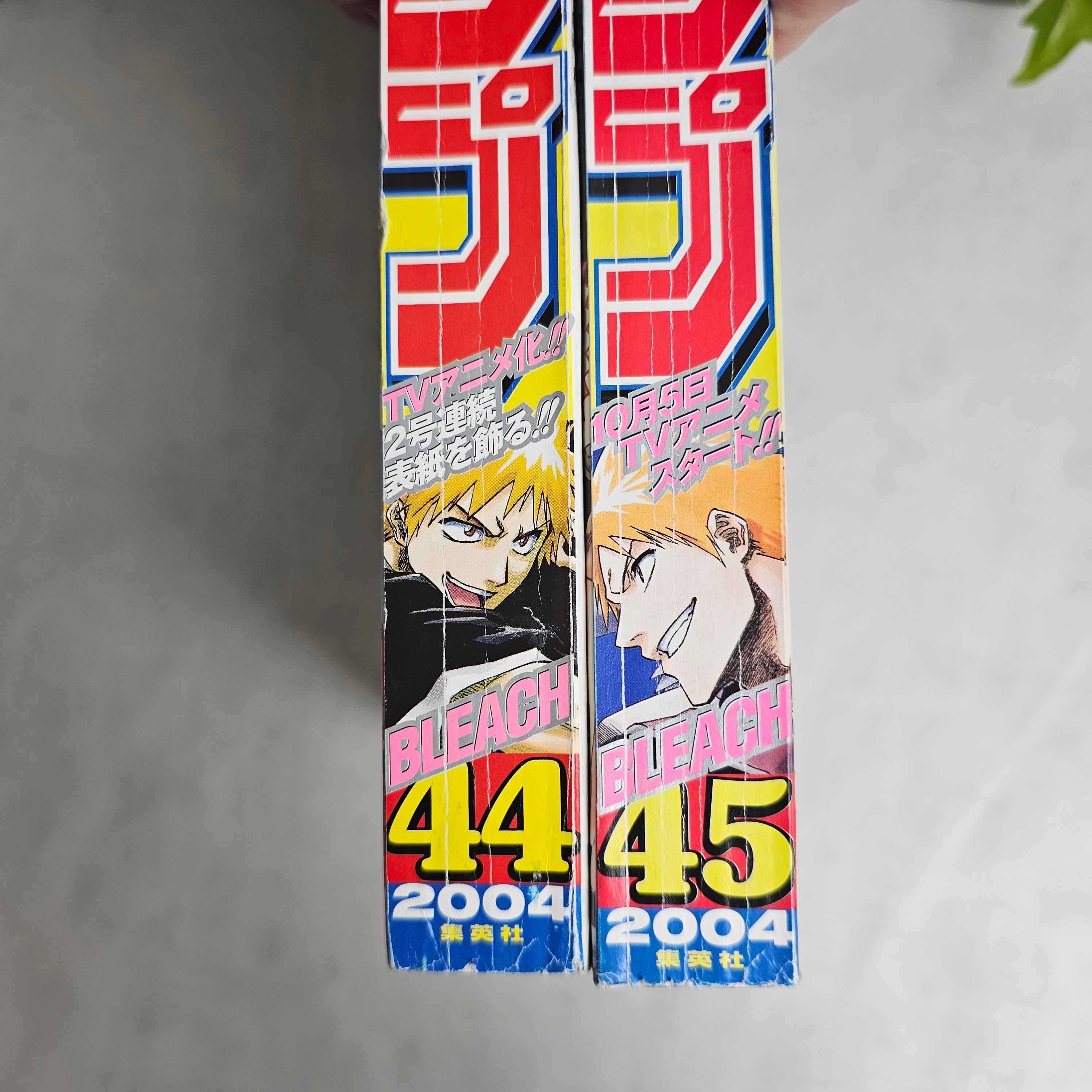 Weekly Shonen Jump n°44 + 45 (2004)