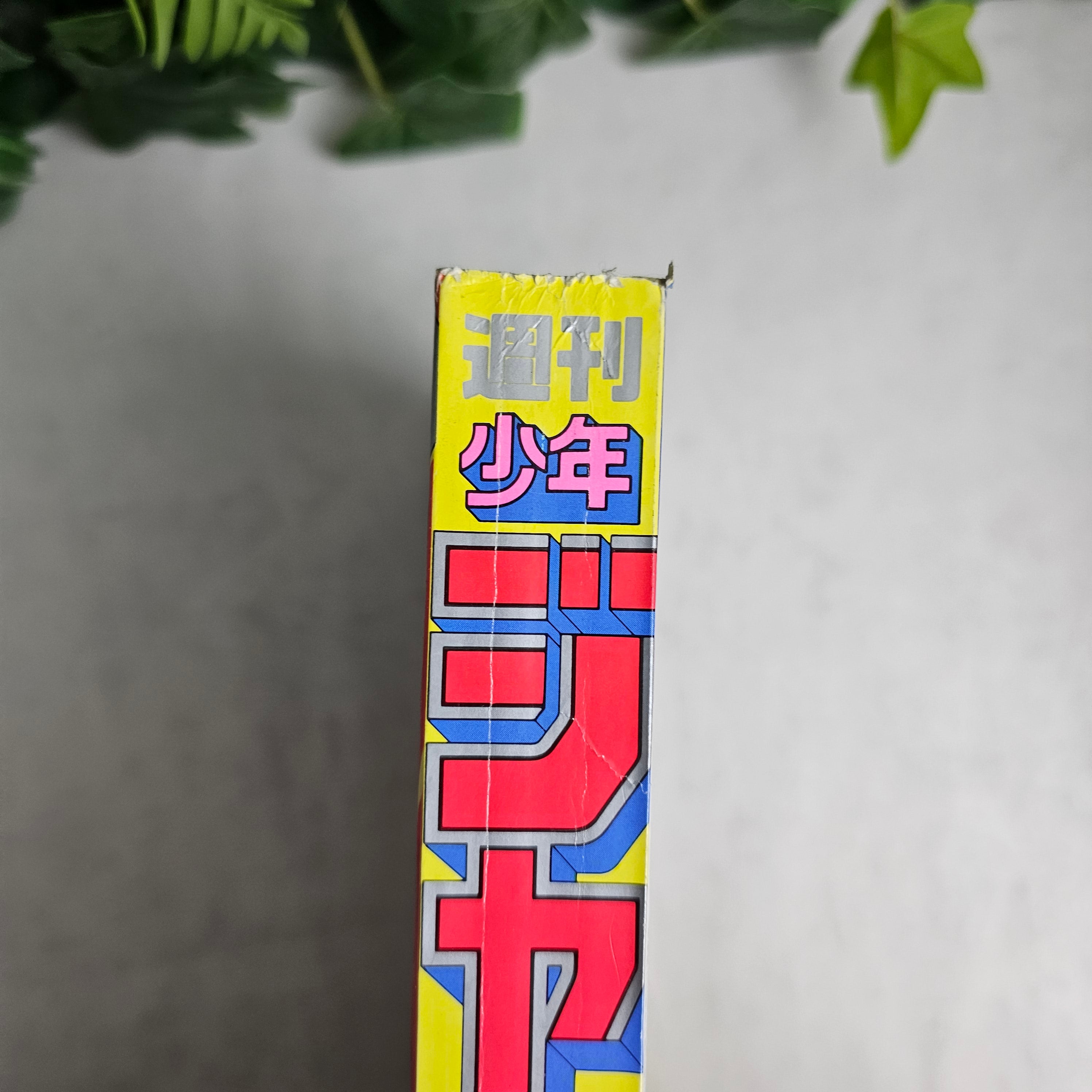 Weekly Shonen Jump n°45 (1994)