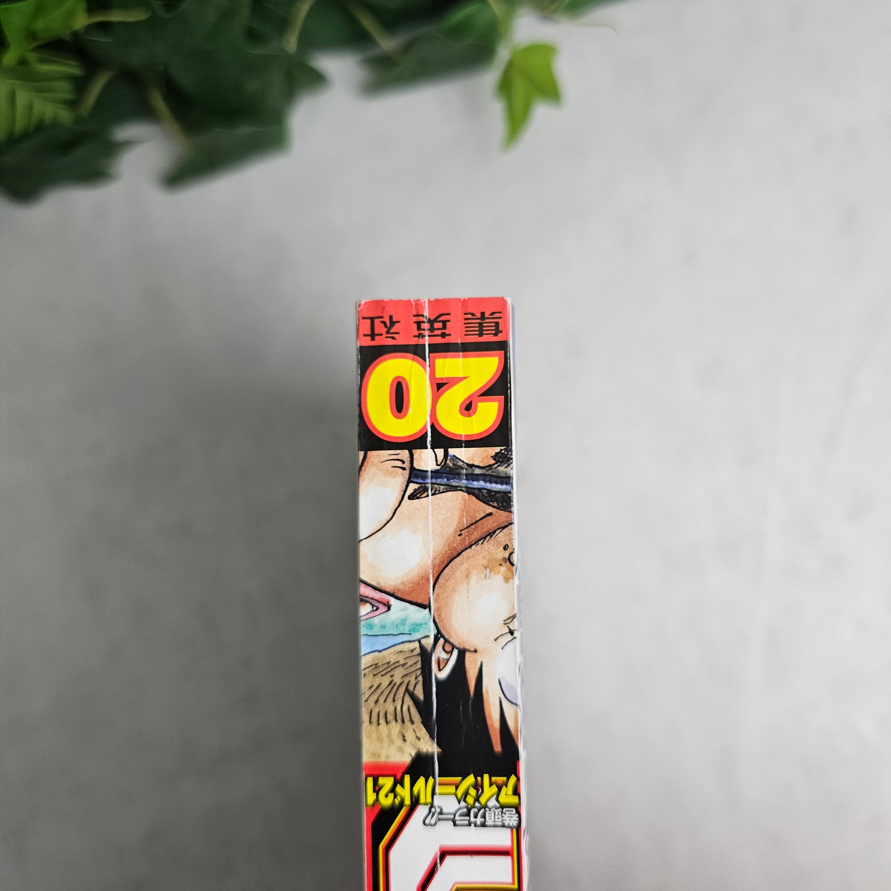Weekly Shonen Jump n°20 (2008)
