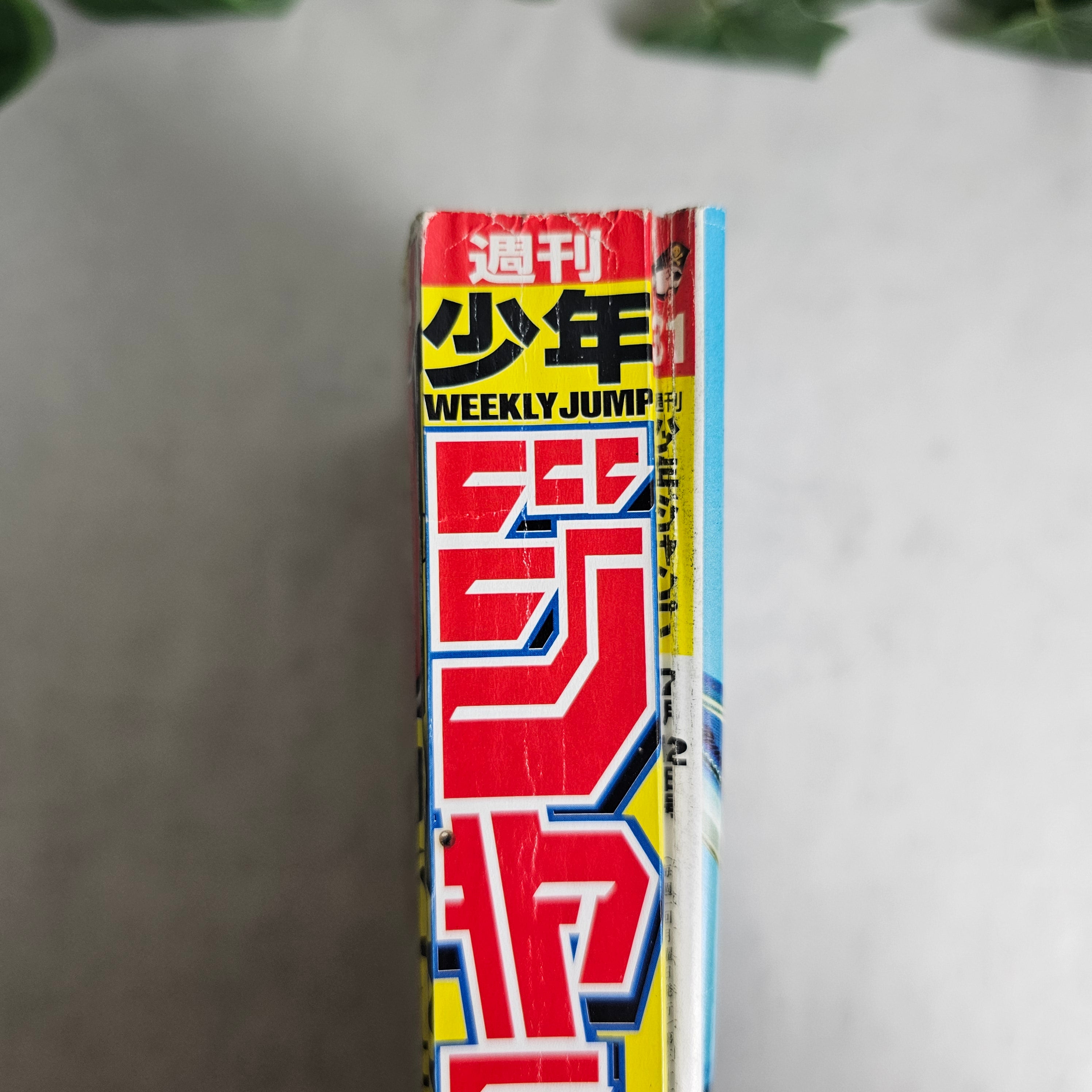 Weekly Shonen Jump n°31 (2004)