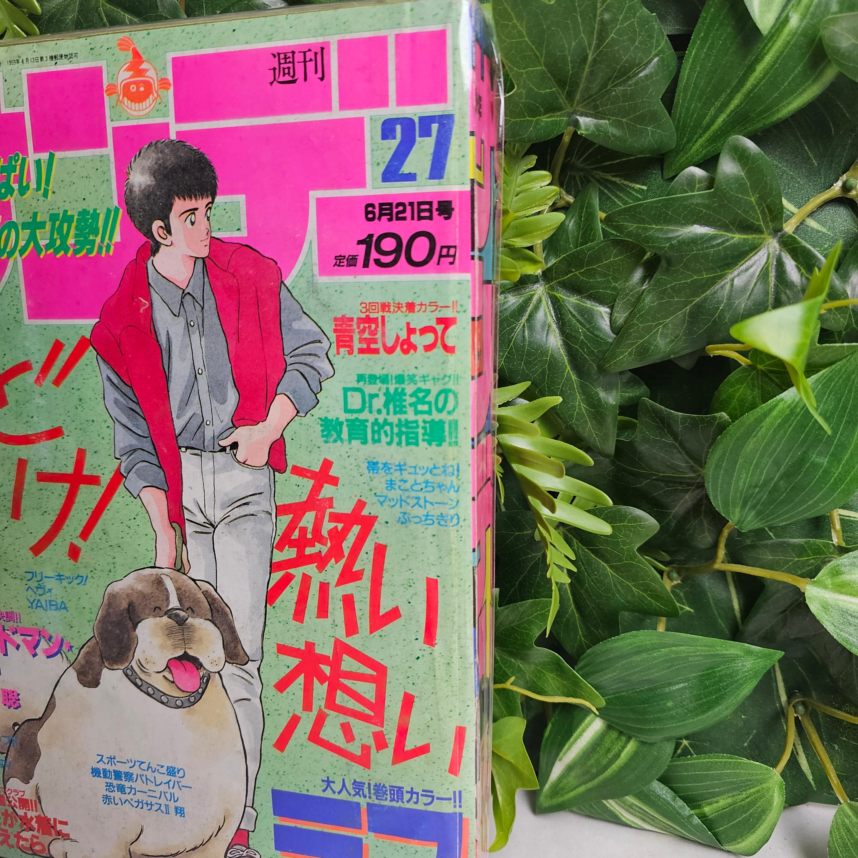 Weekly Shonen Sunday n°27 (1989)