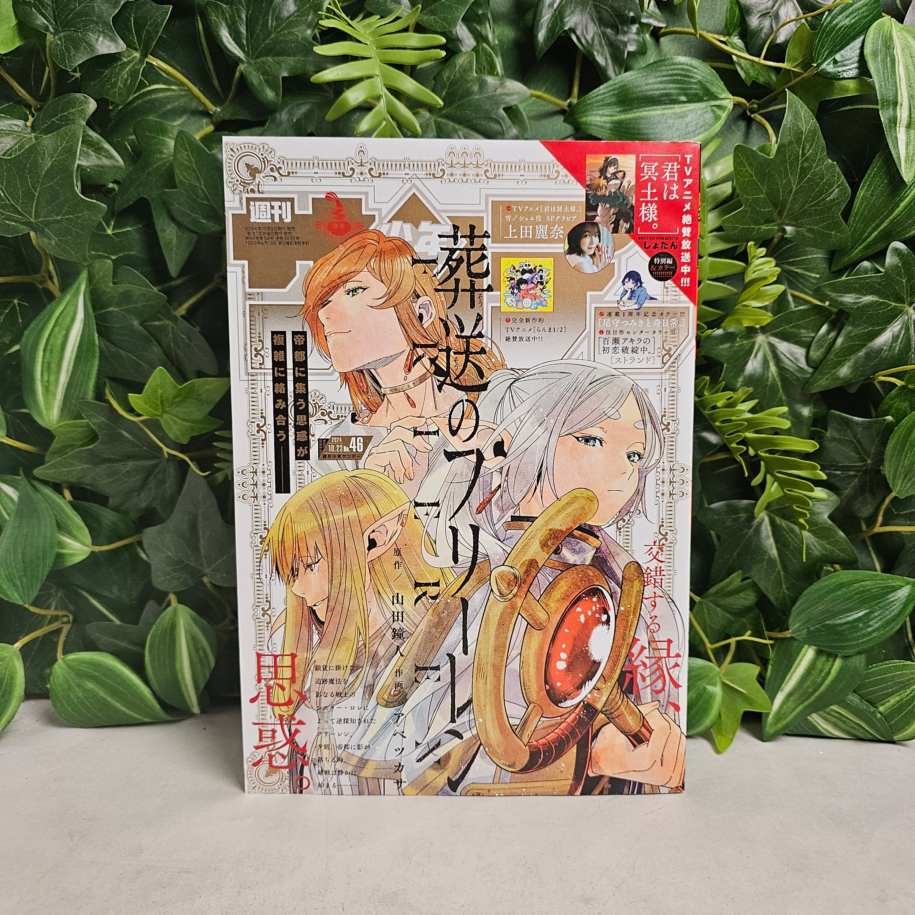 Weekly Shonen Sunday n°46 (2024)