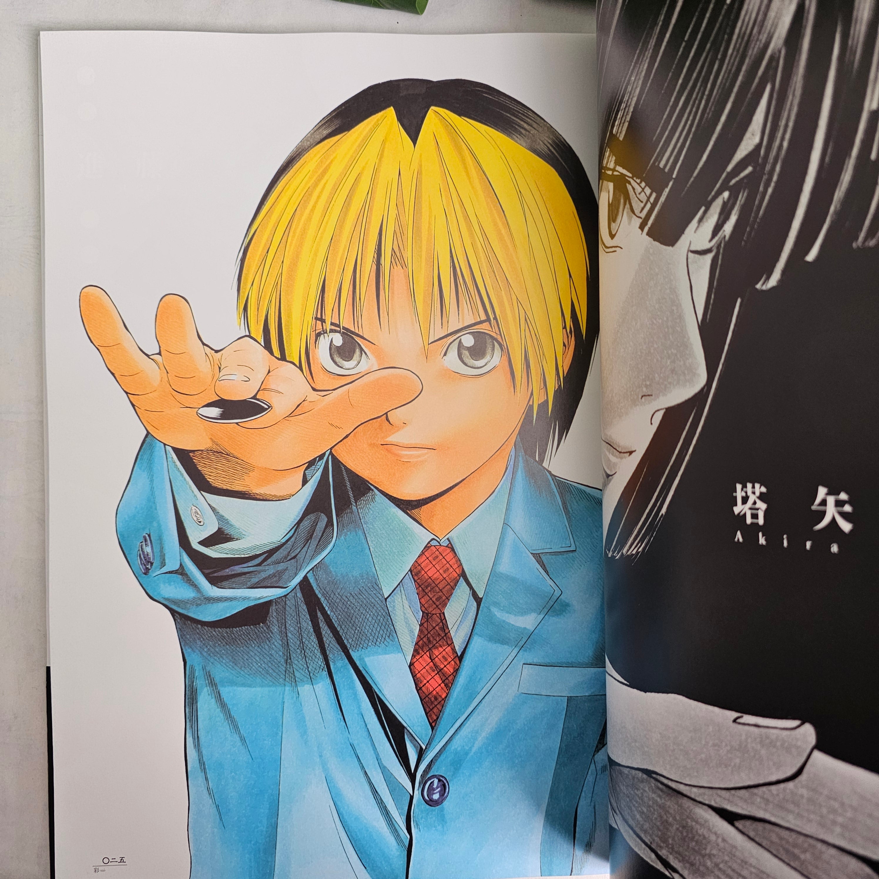 Hikaru no Go - Artbook (grand format)