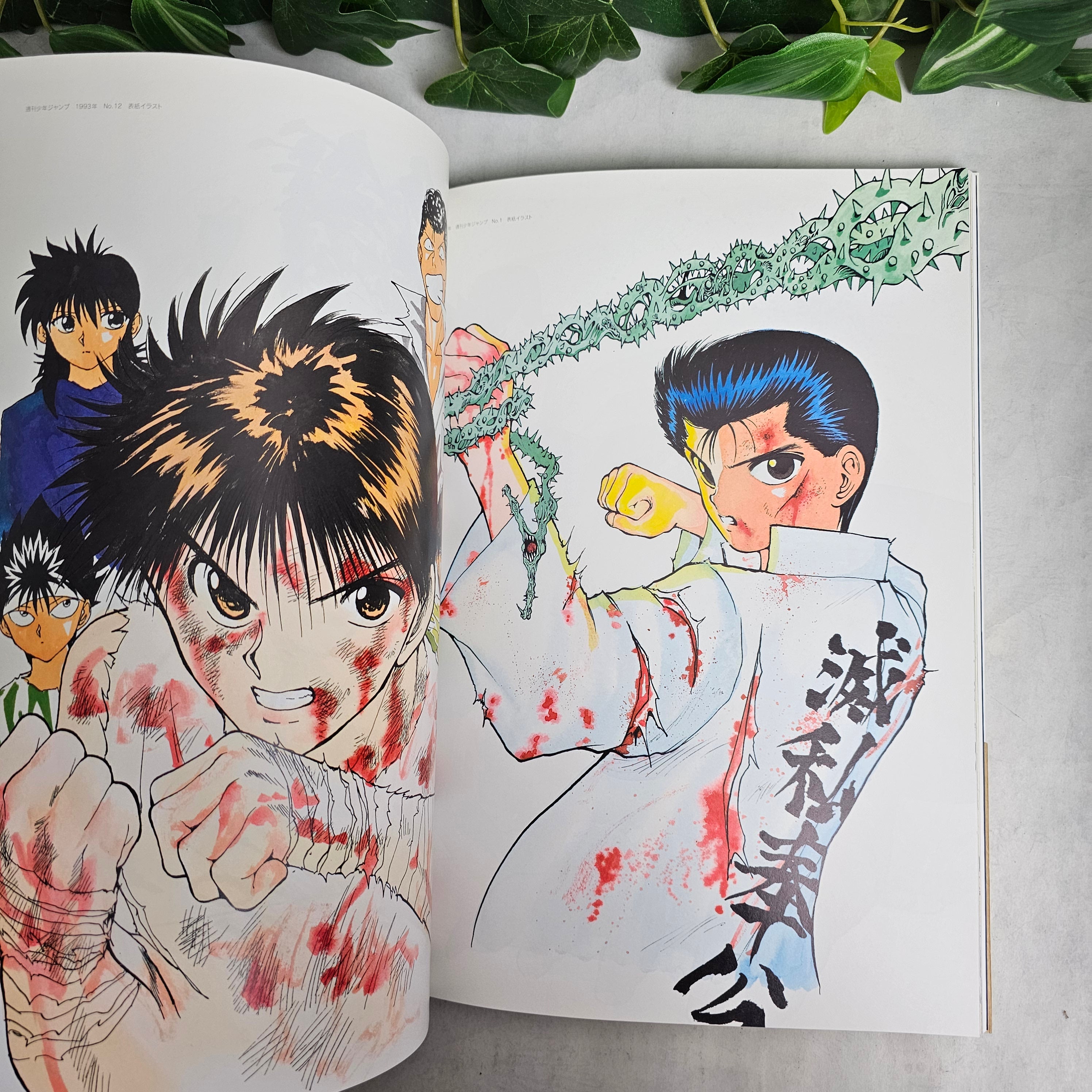 Artbook - YuYu Hakusho Gashu