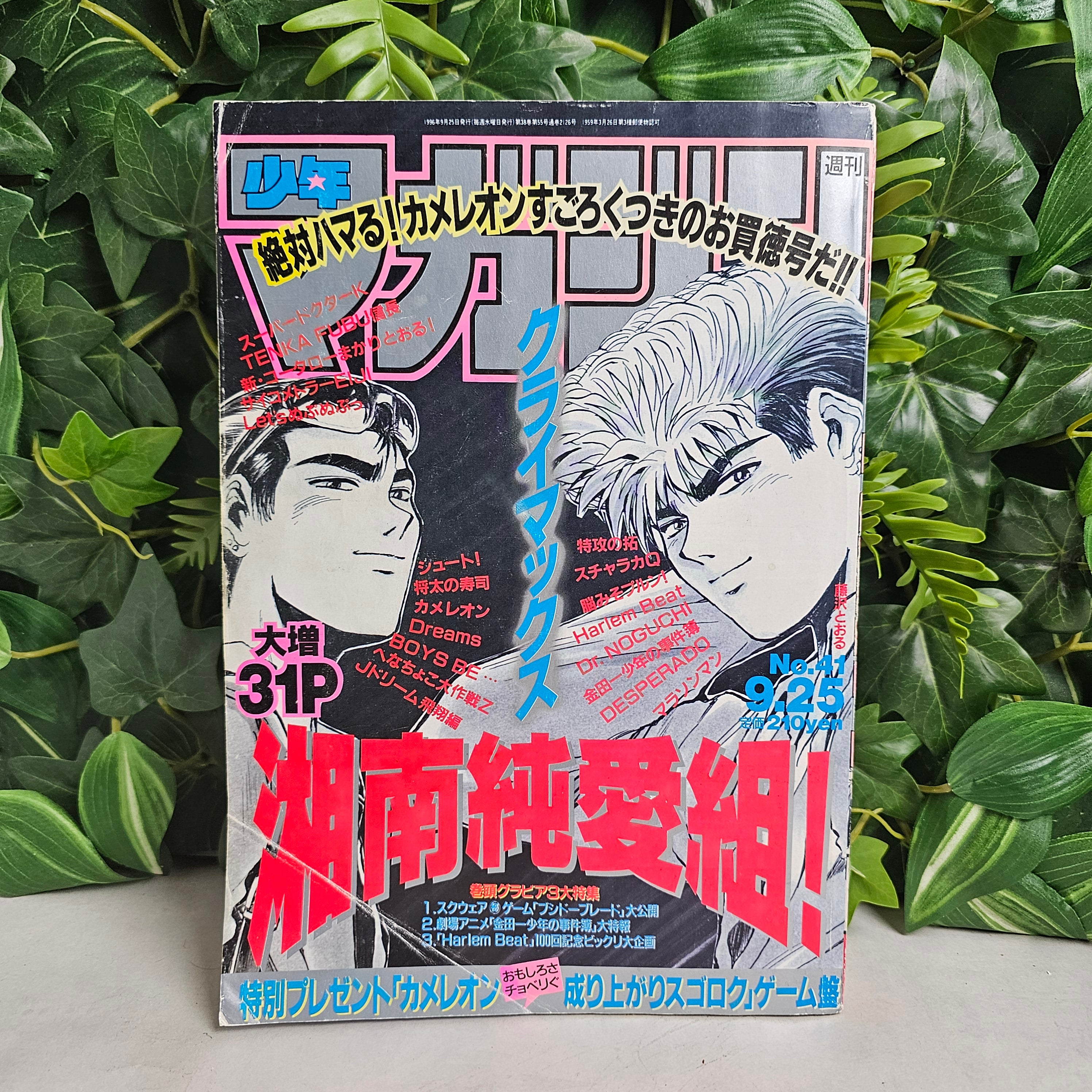 Weekly Shonen Magazine n°41 (1996)