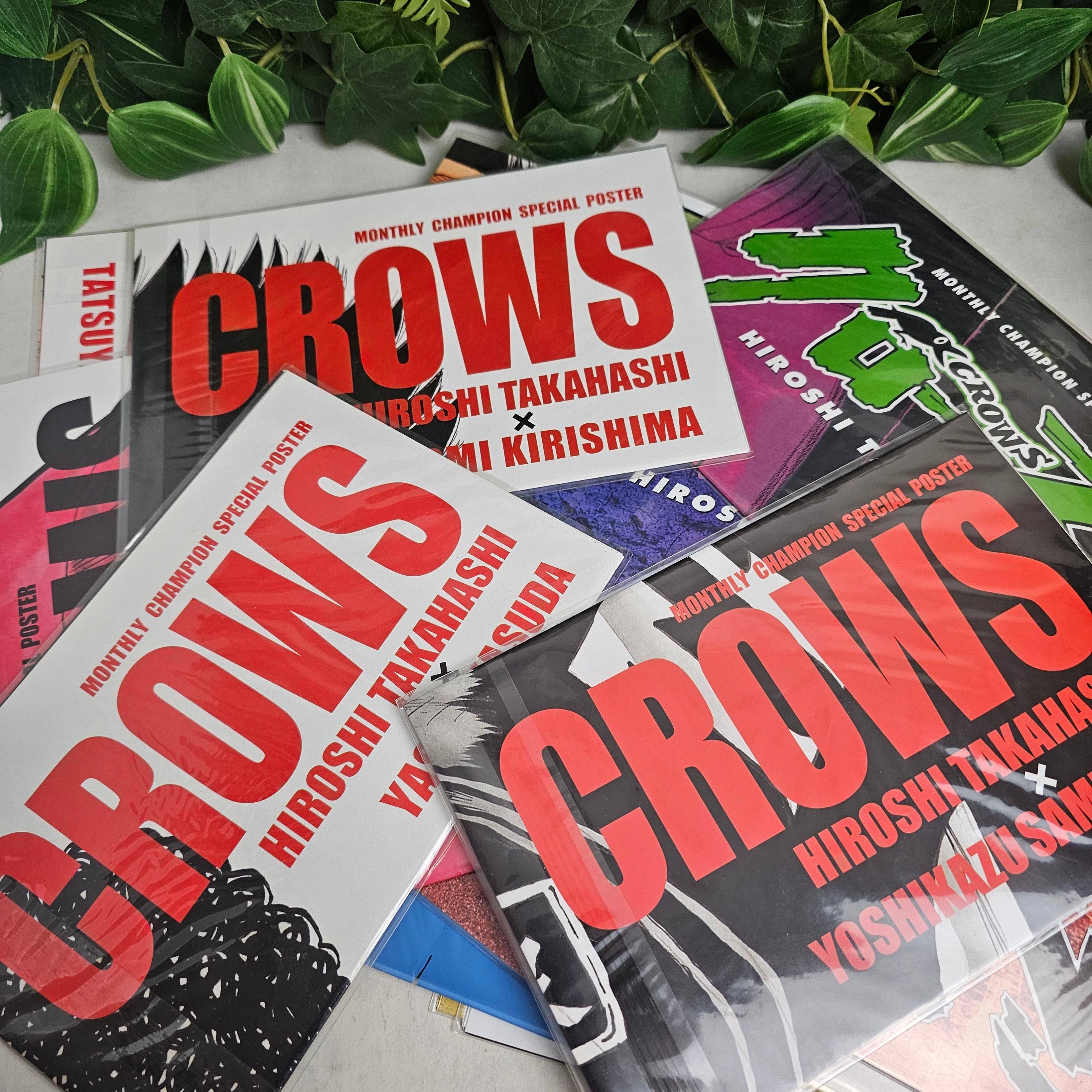 Poster Crows Mystère