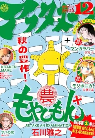 Monthly Afternoon n°12 (2025)