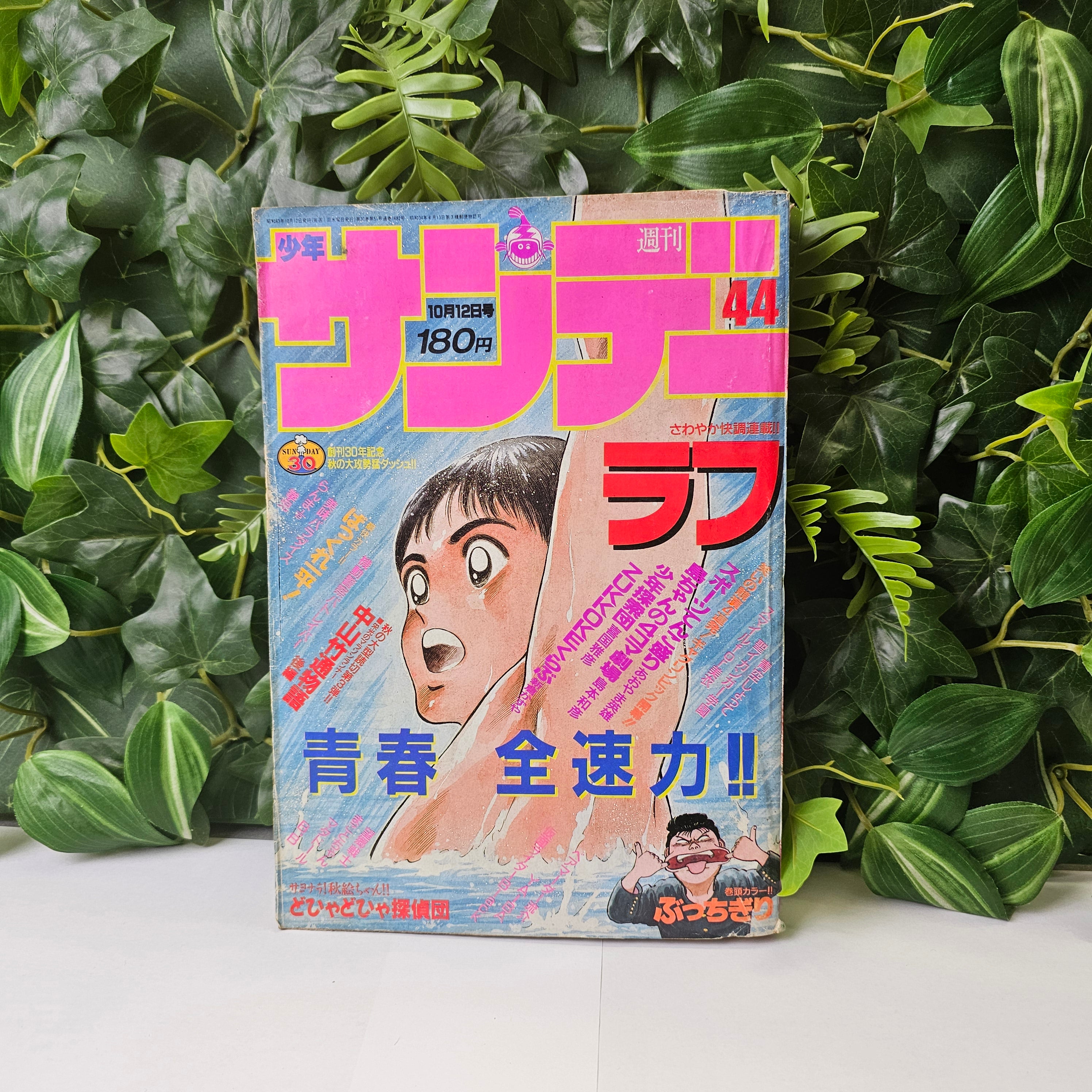 Weekly Shonen Sunday n°44 (1988)