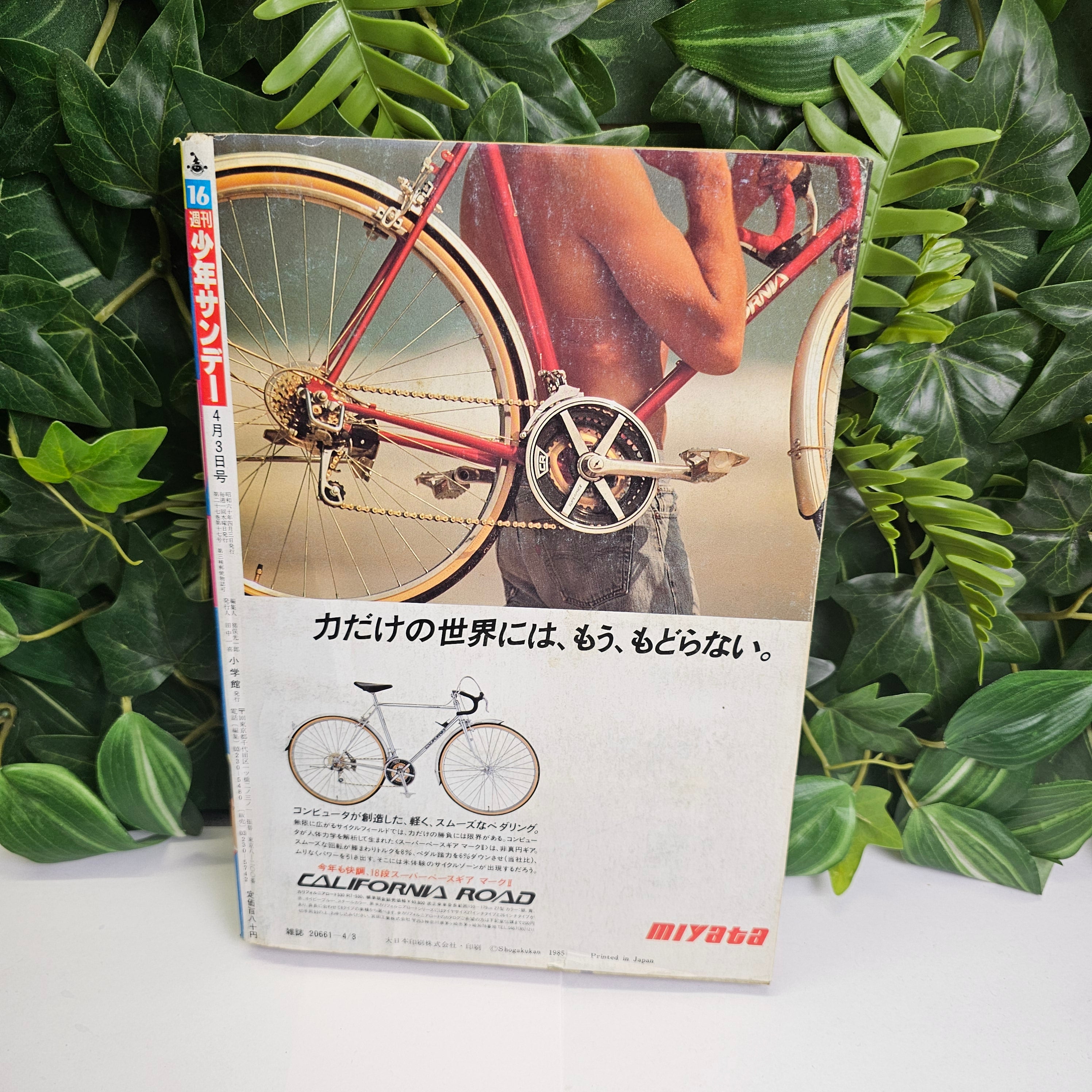 Weekly Shonen Sunday n°16 (1985) (TO-Y)