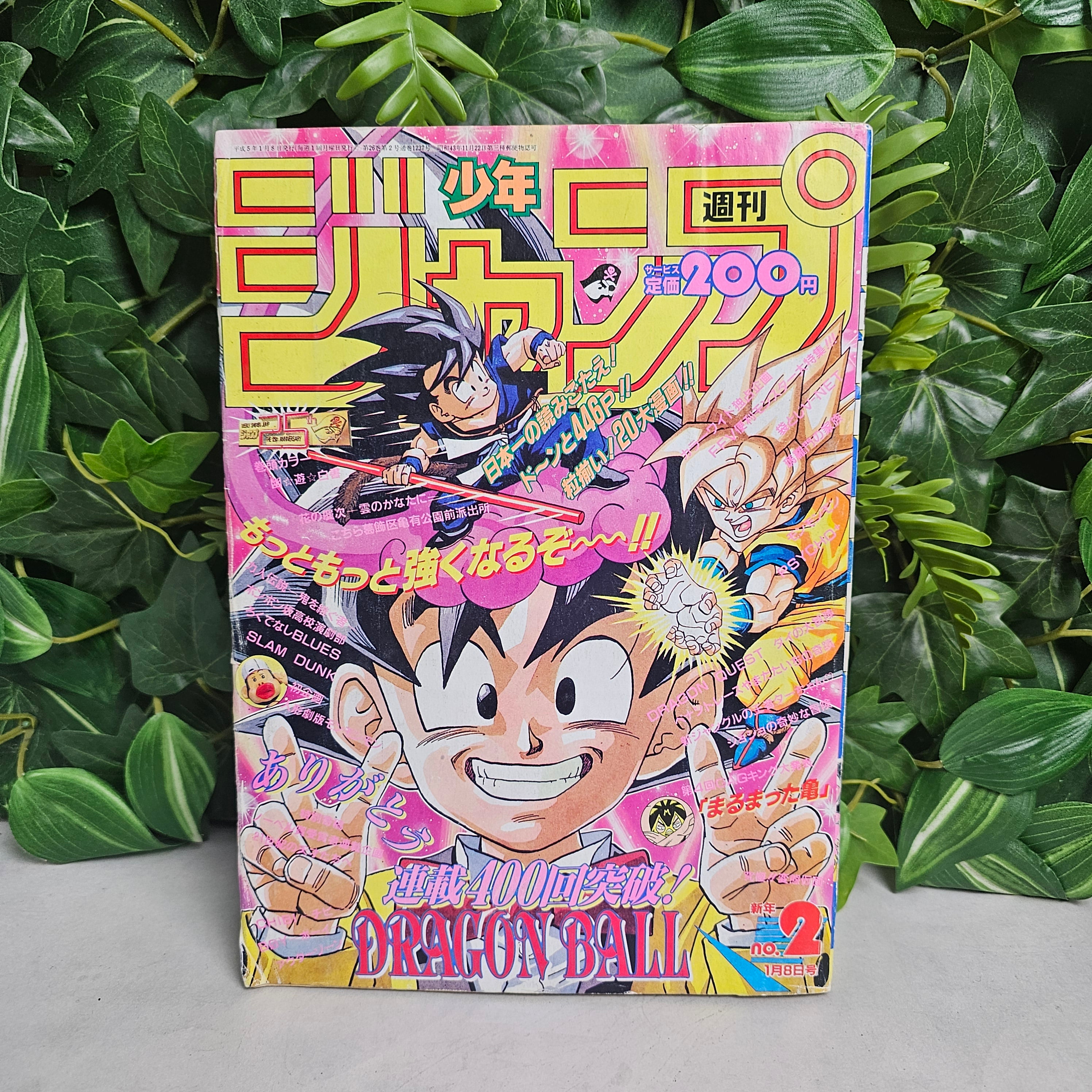 Weekly Shonen Jump n°2 (1993)