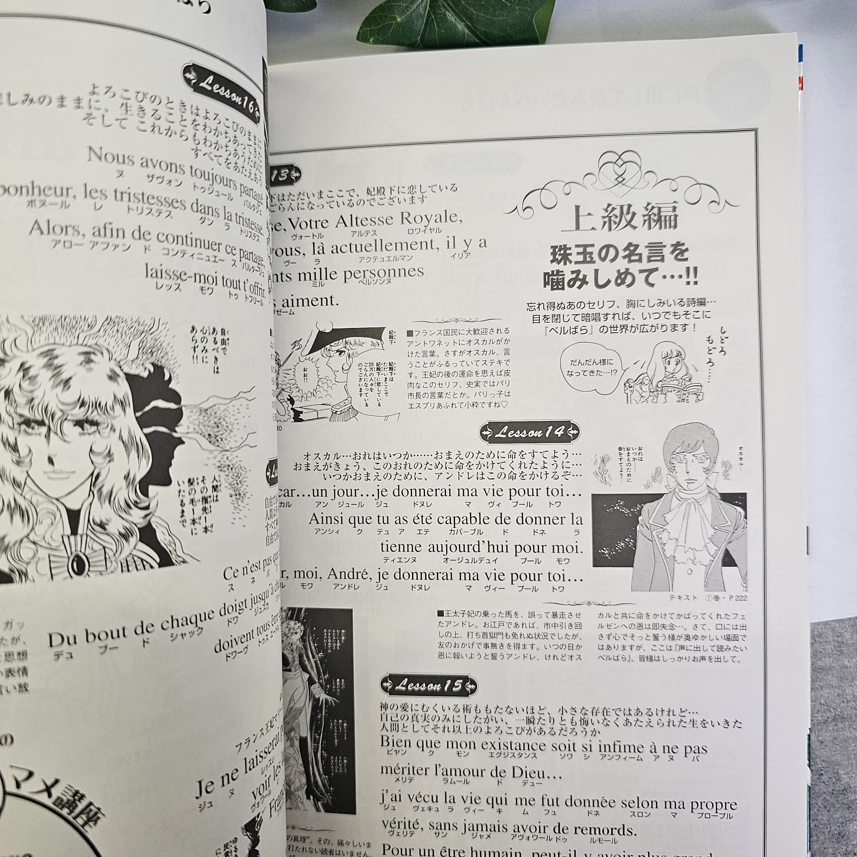 La rose de Versailles - Commémoration 30 ans encyclopédie