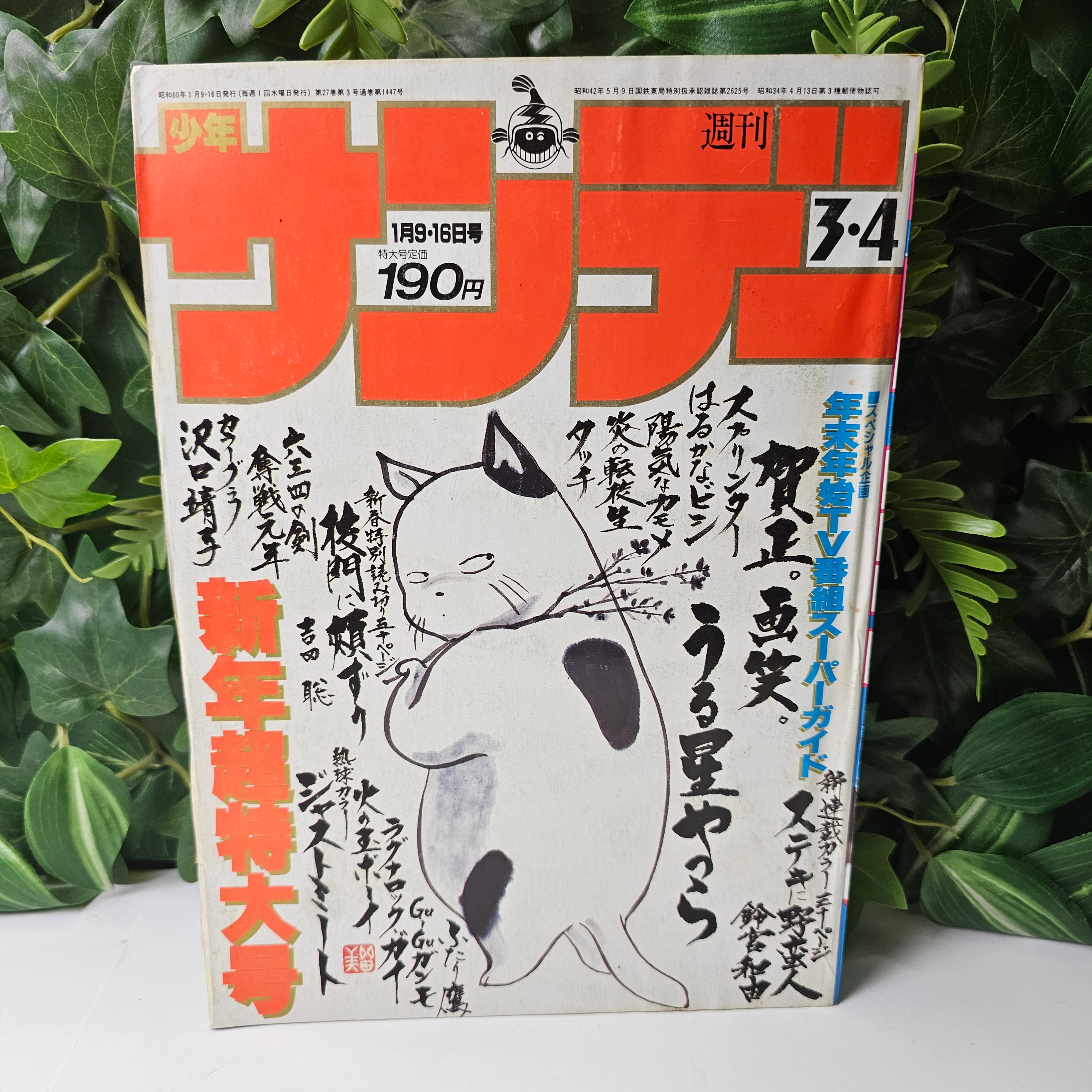 Weekly Shonen Sunday n°3-4 (1985)