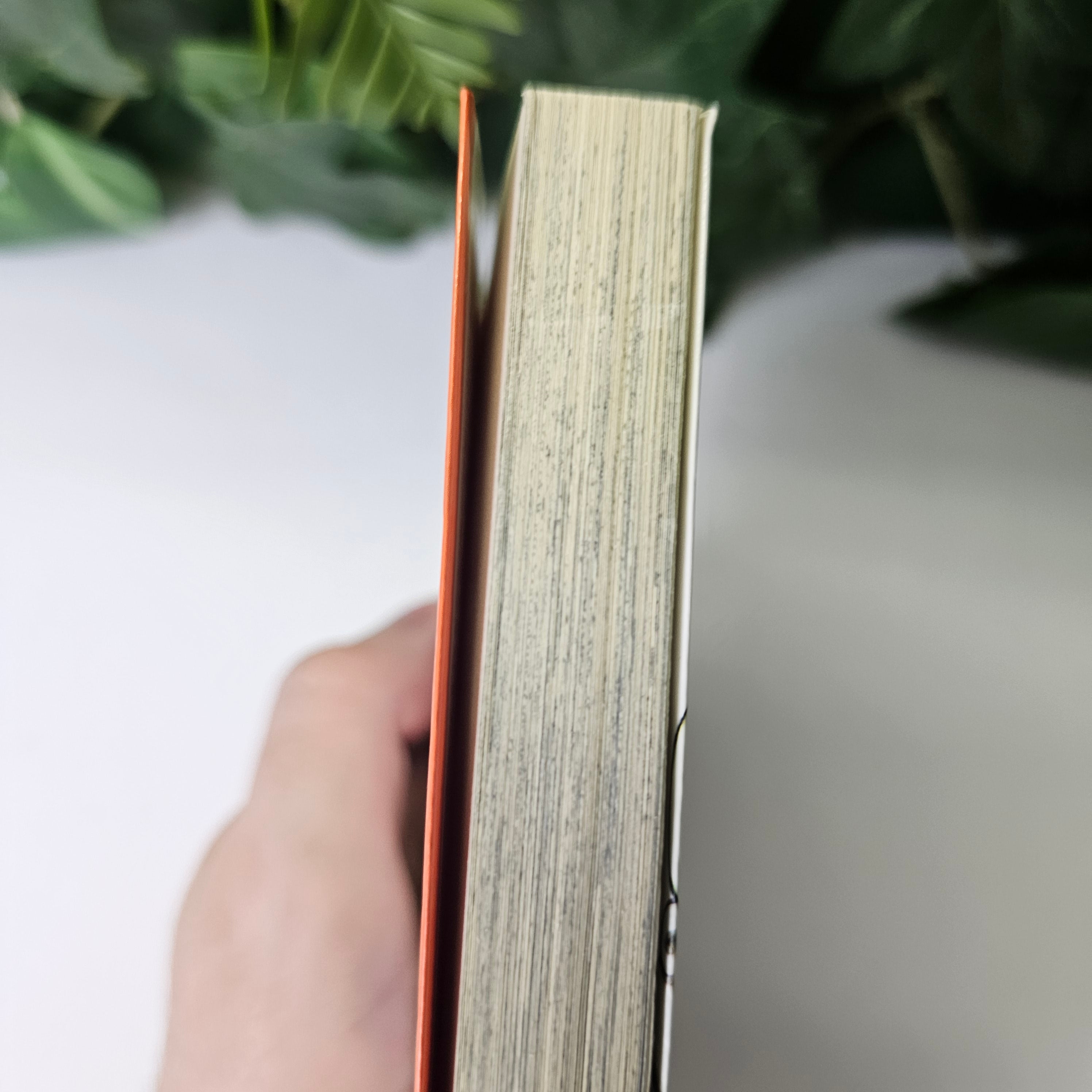 Naruto - Tome 1 (VO)