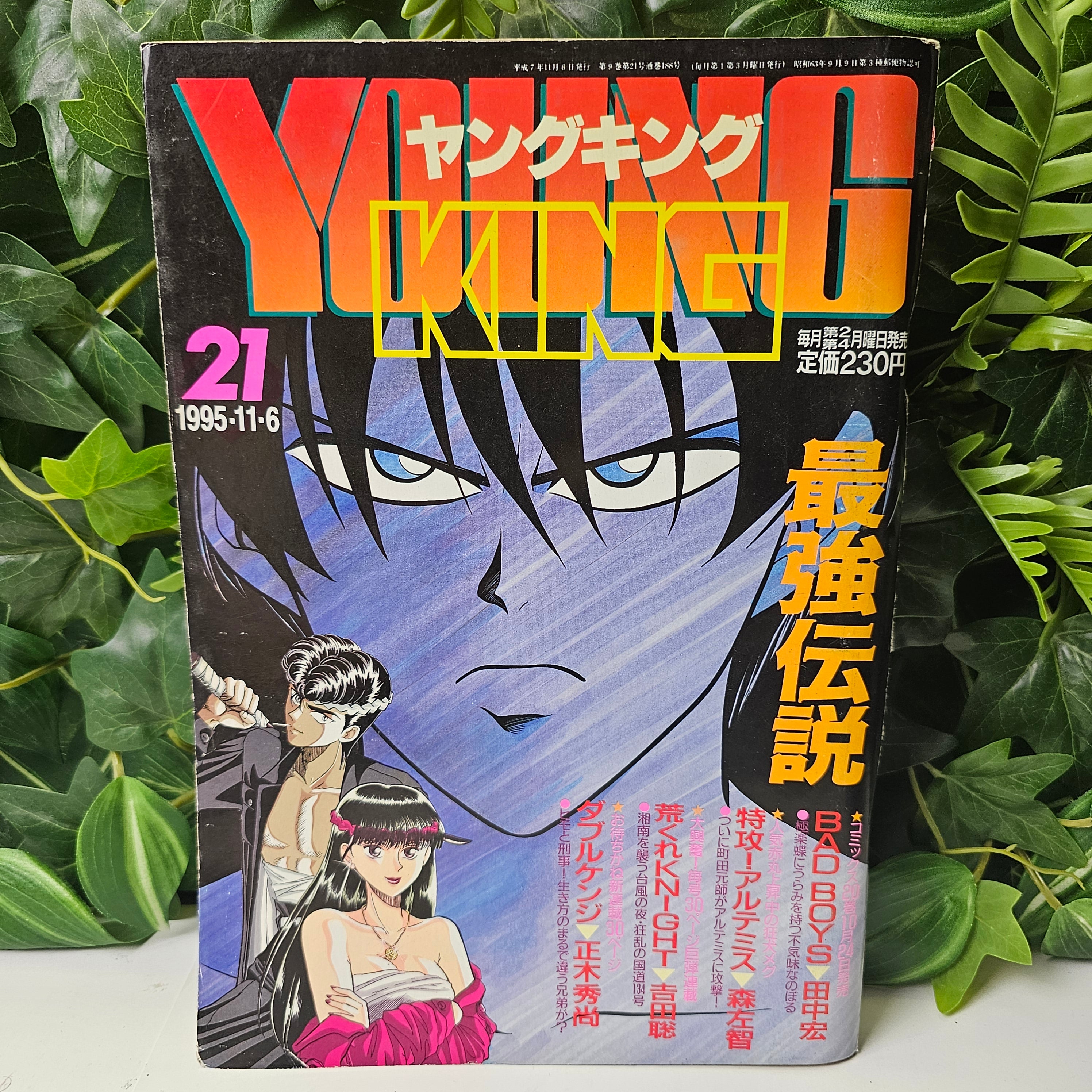 Young King n°21 (1995)