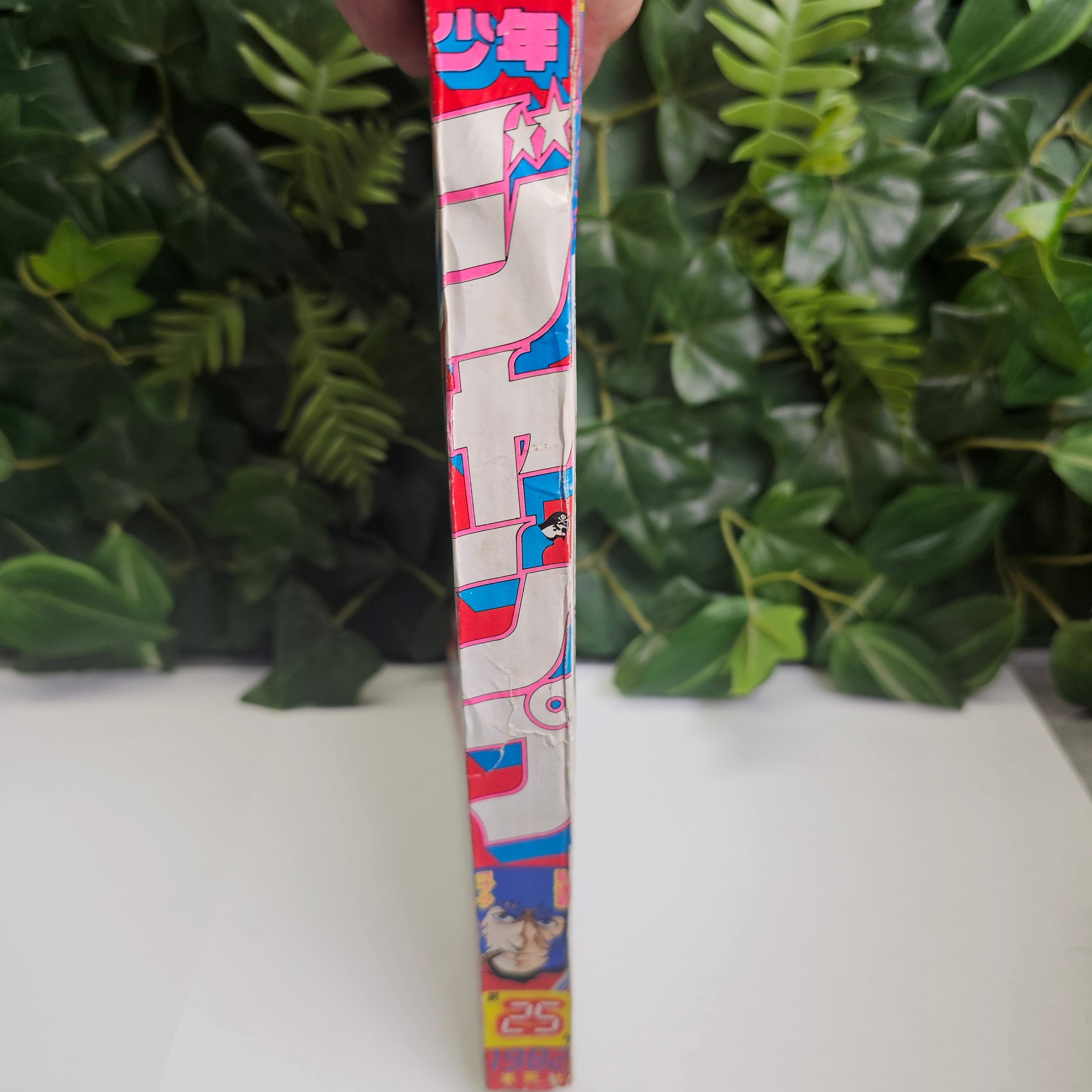 Weekly Shonen Jump n°25 (1982)