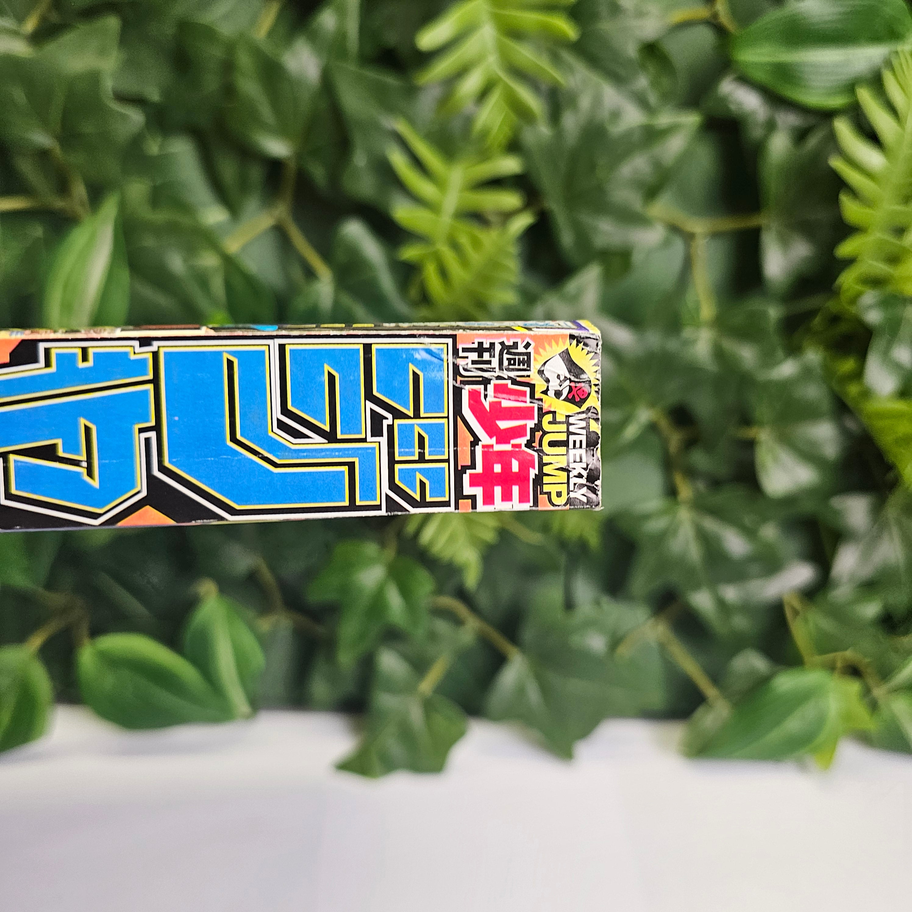 Weekly Shonen Jump n°49 (2013) (One Piece)