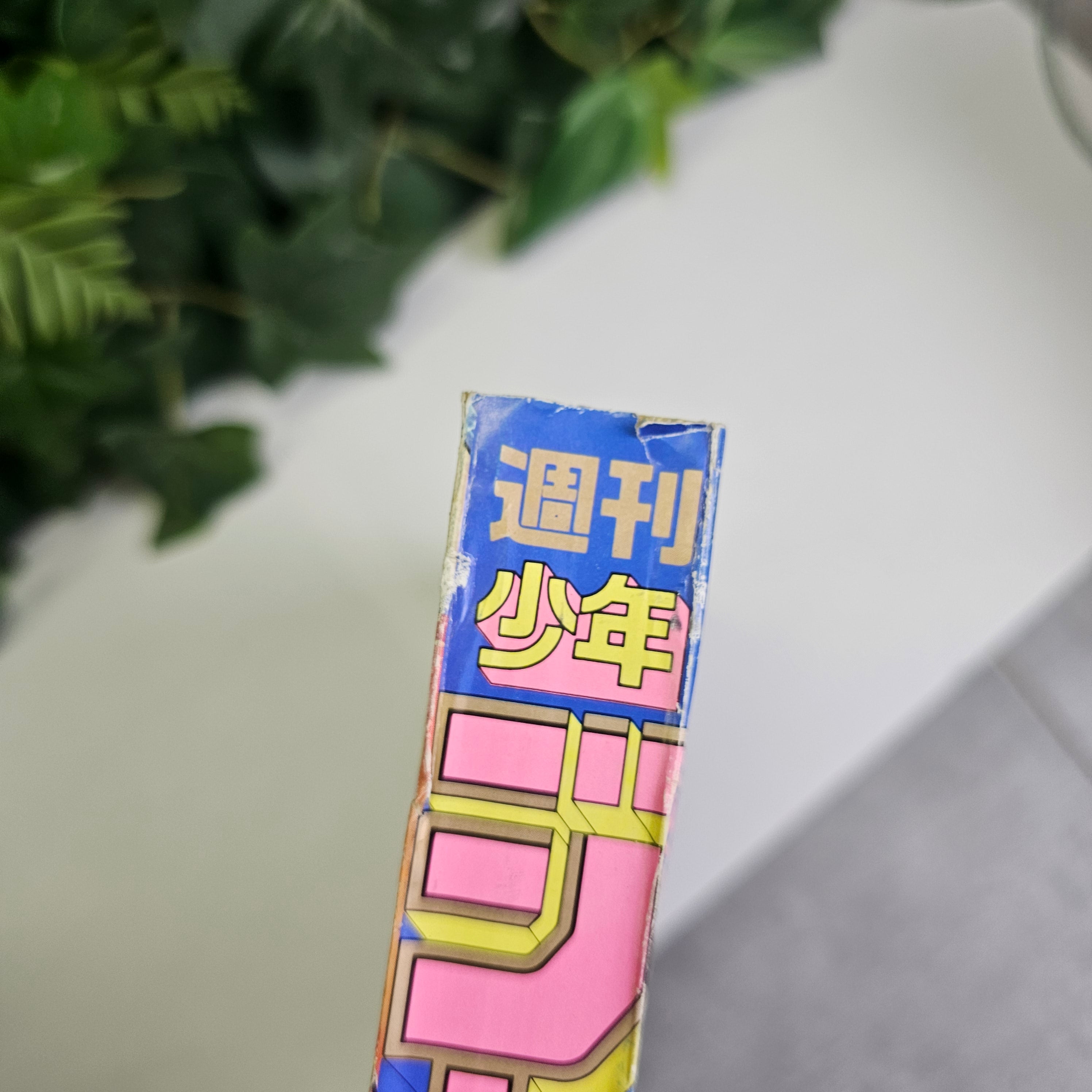 Weekly Shonen Jump n°21-22 (1993) (Slam Dunk)