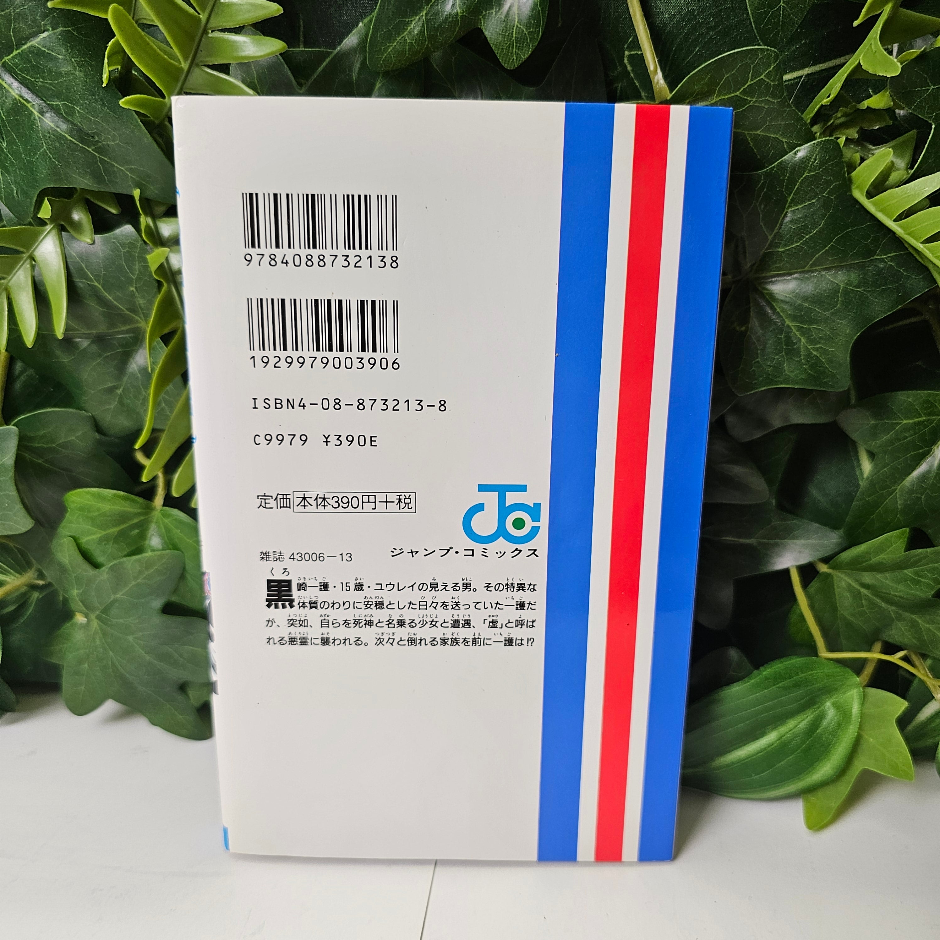 Bleach - Tome 1 (VO)