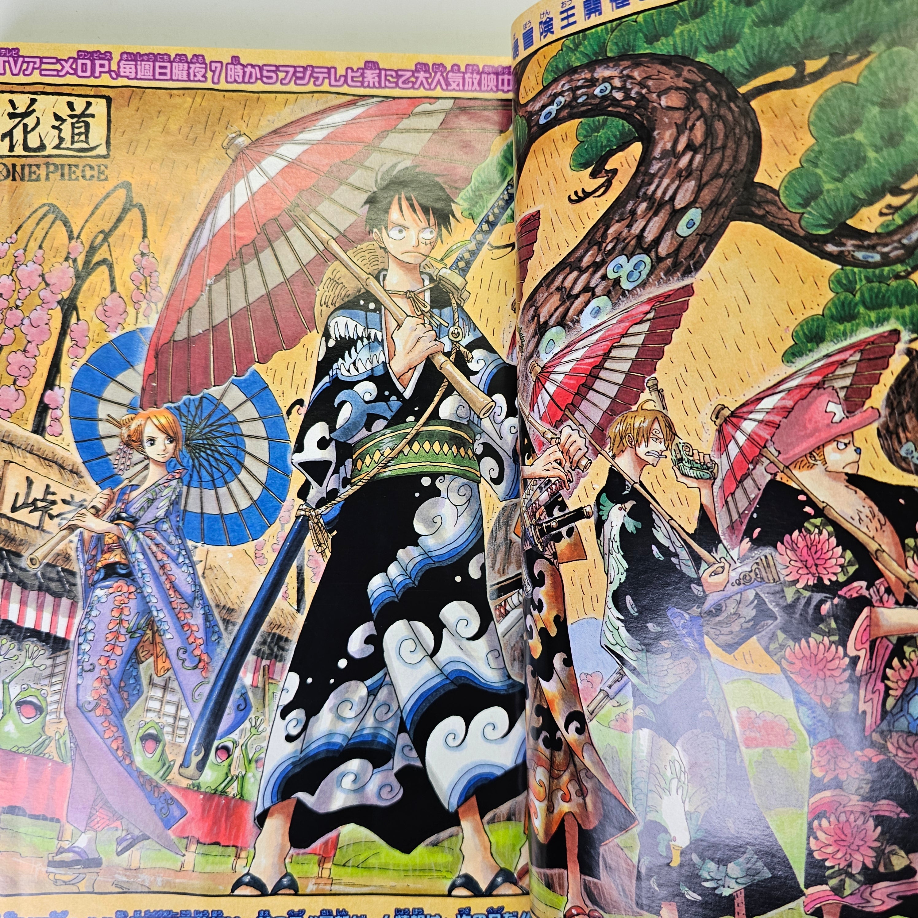 Weekly Shonen Jump n°31 (2005)
