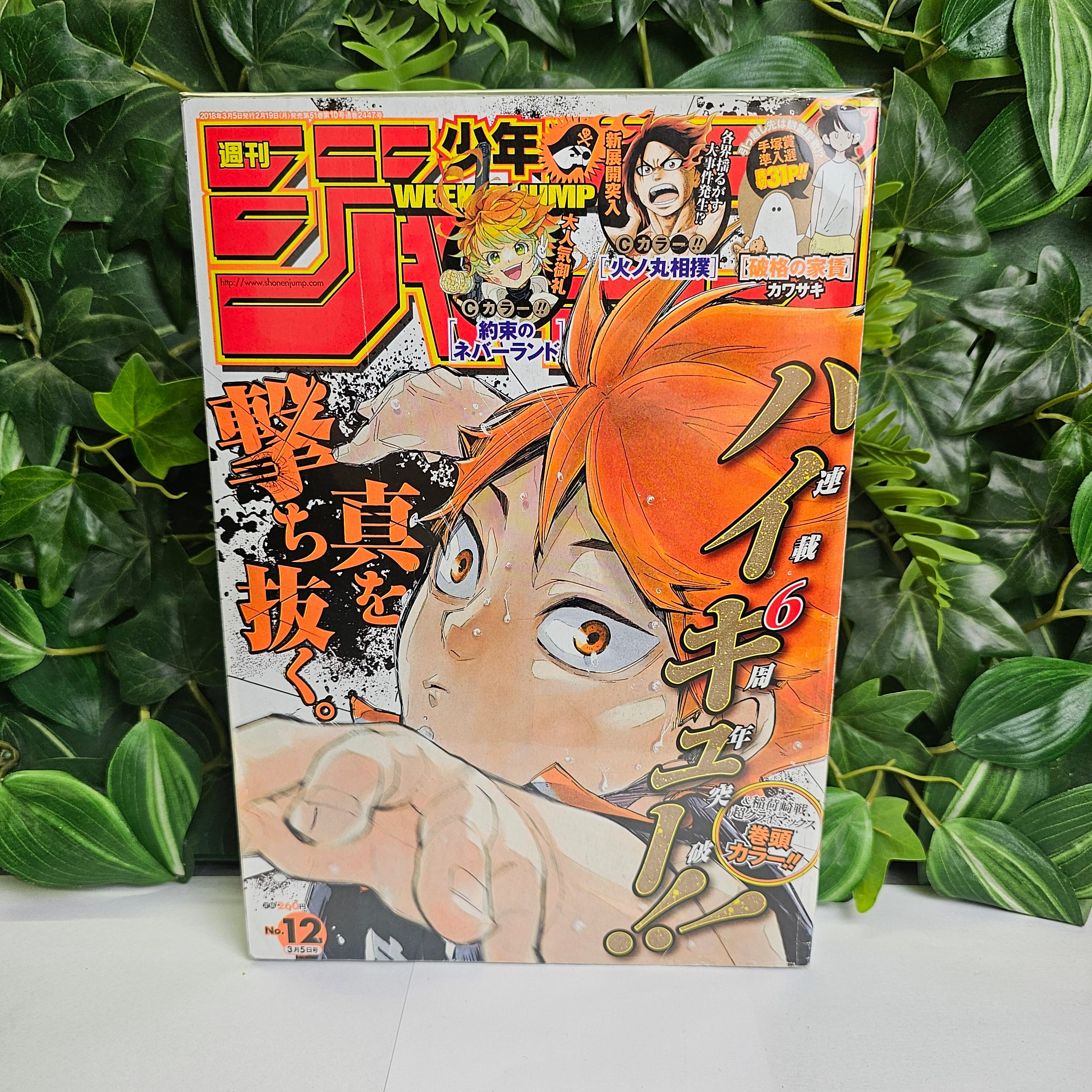 Weekly Shonen Jump n°12 (2018) (Haikyu!!)