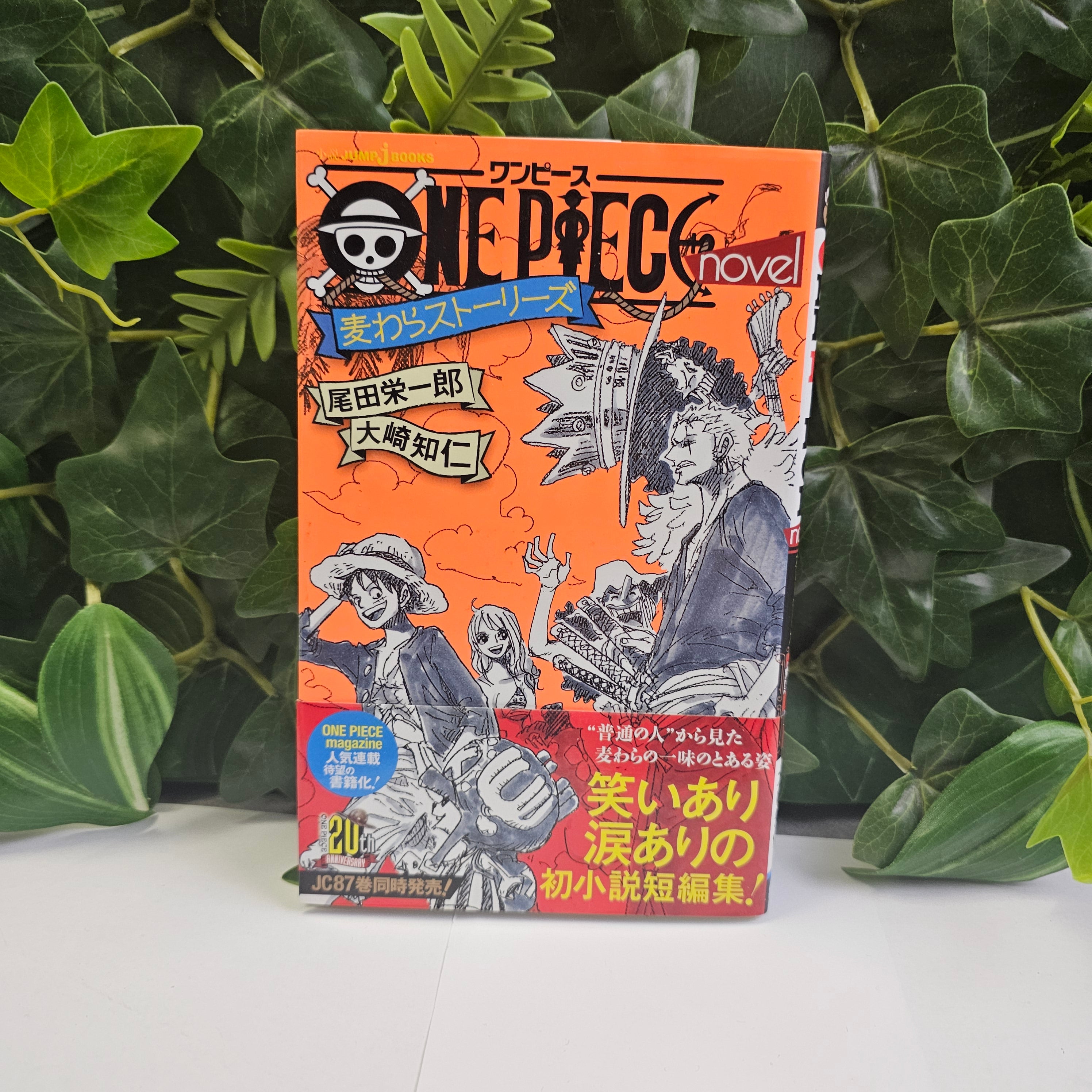 One Piece - Novel Straw Hat Stories