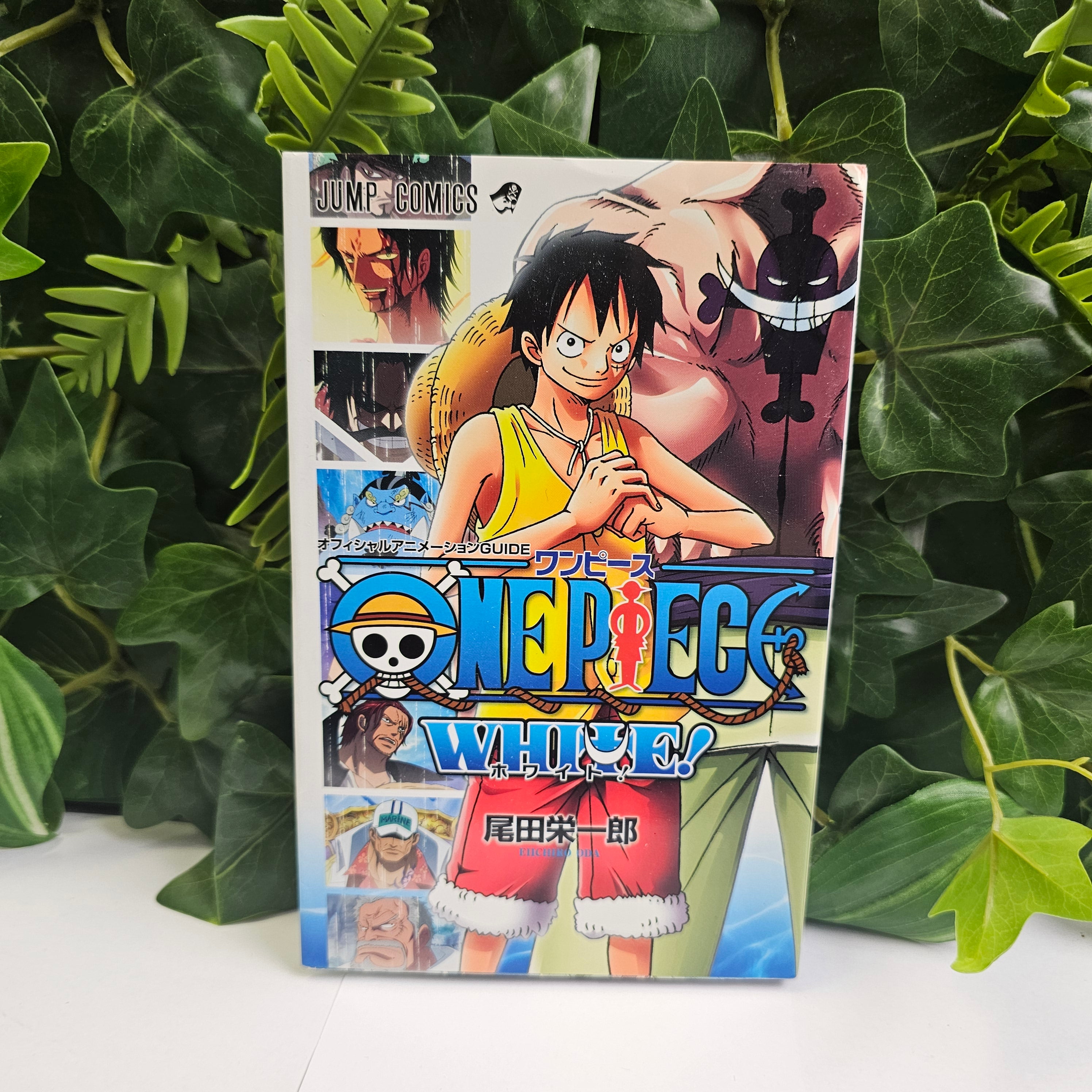 One Piece : WHITE - LOGBOOK DATA